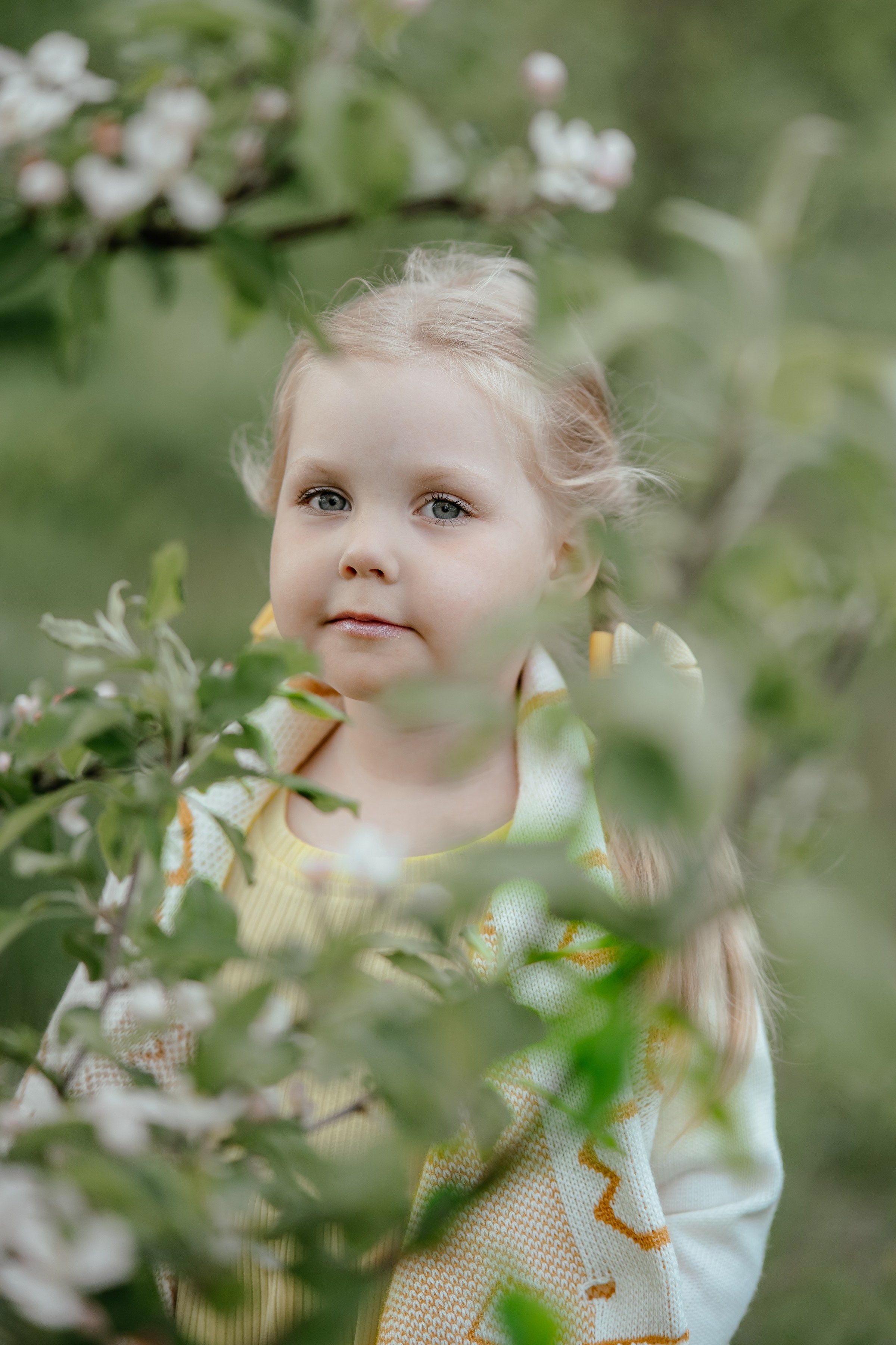 Весенняя, цветущий яблоневый сад. Ольга Плаксина фотограф в Саратове