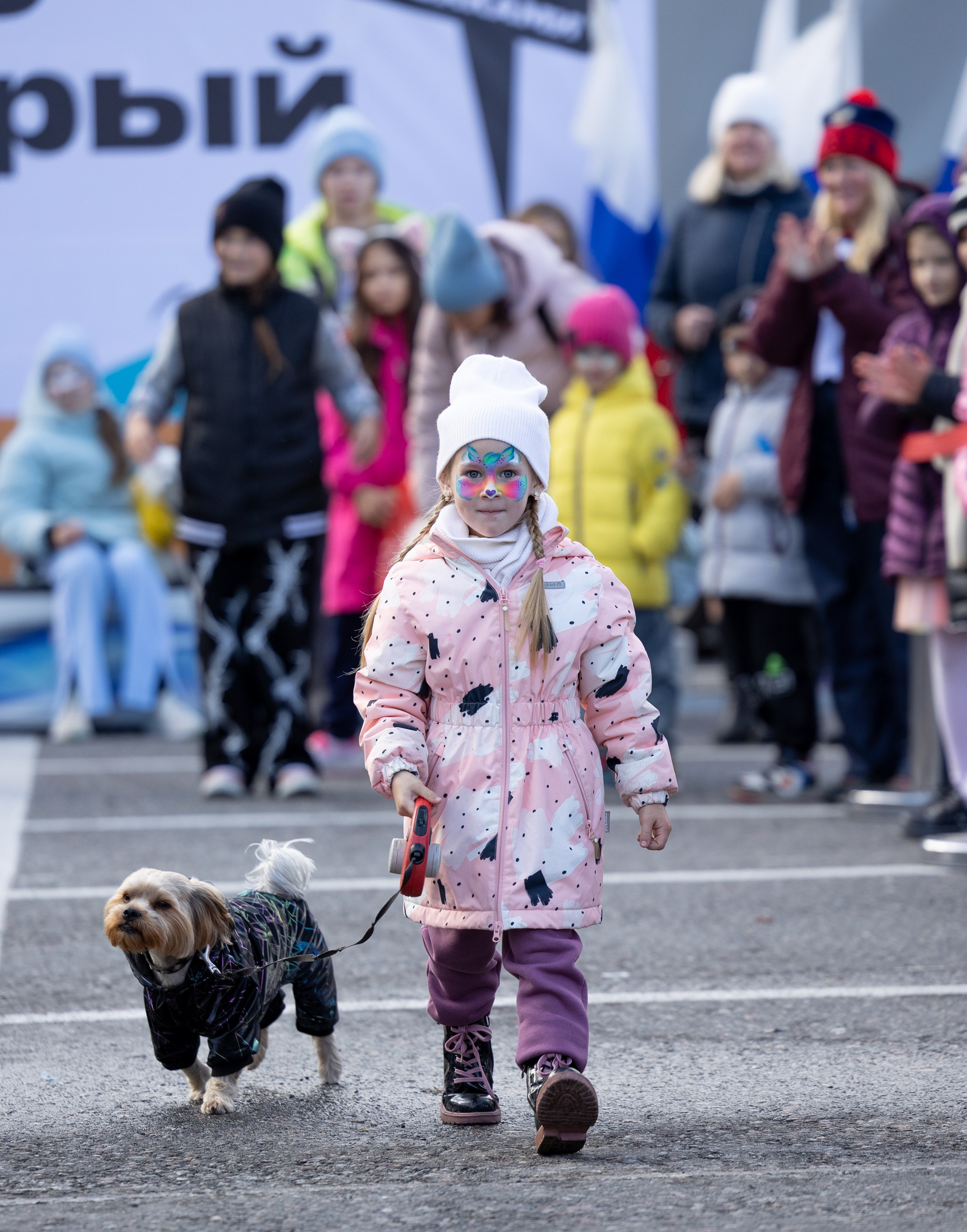 Кросс «Быстрый пёс», Балтийская Жемчужина. Главная