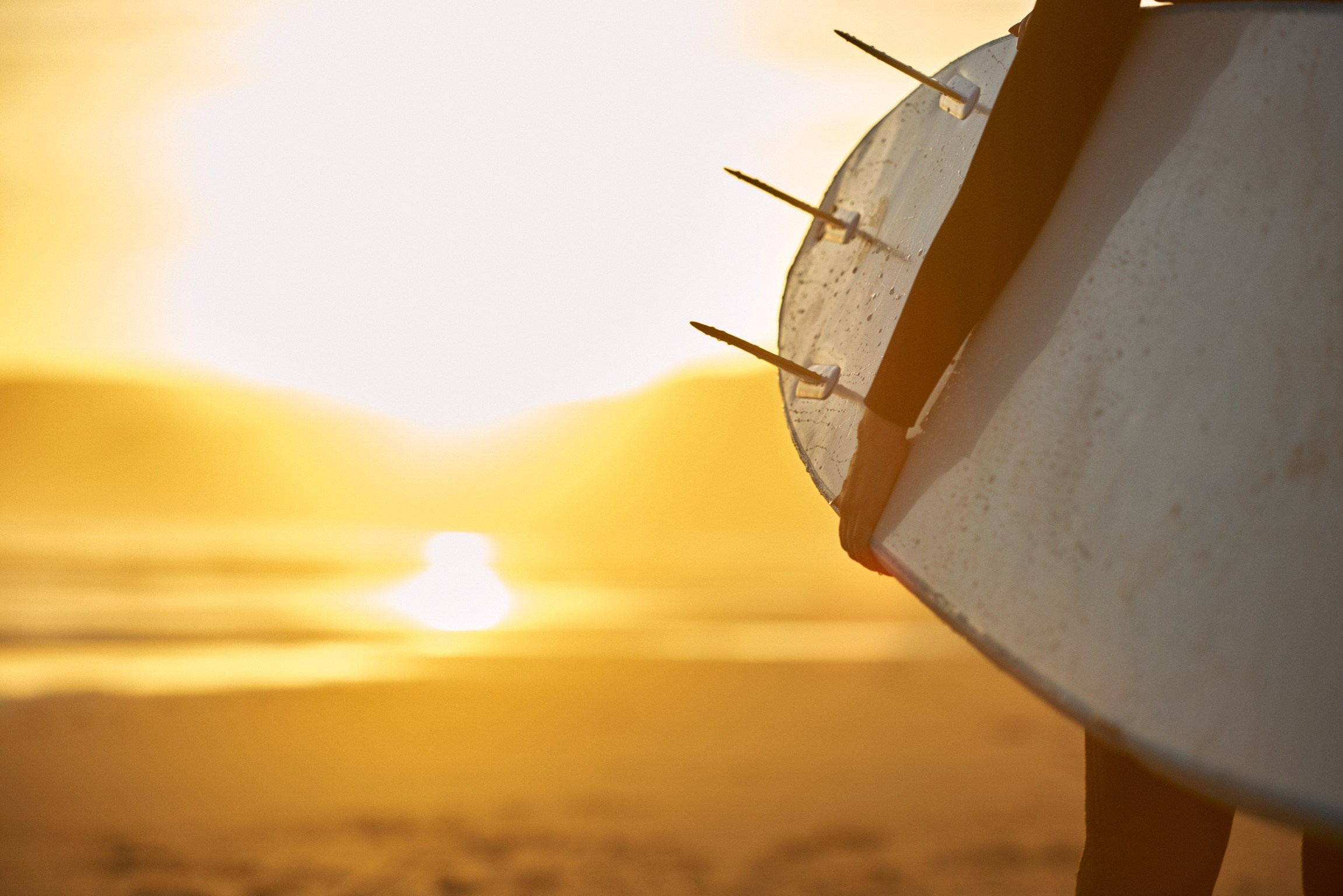 профессиональная фотосессия