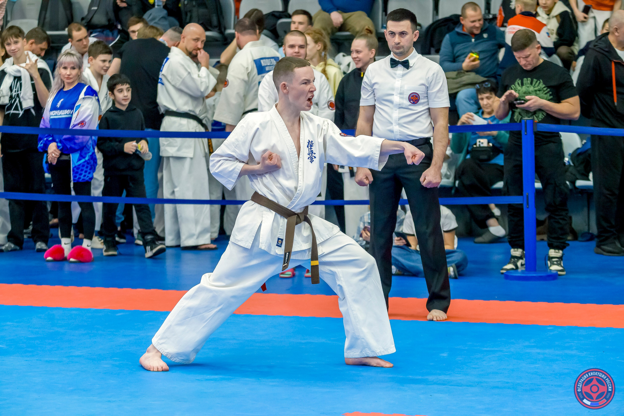 Международный турнир по киокушин «Открытый кубок Seiken». Репортажная съемка в Москве и области. Анималистика