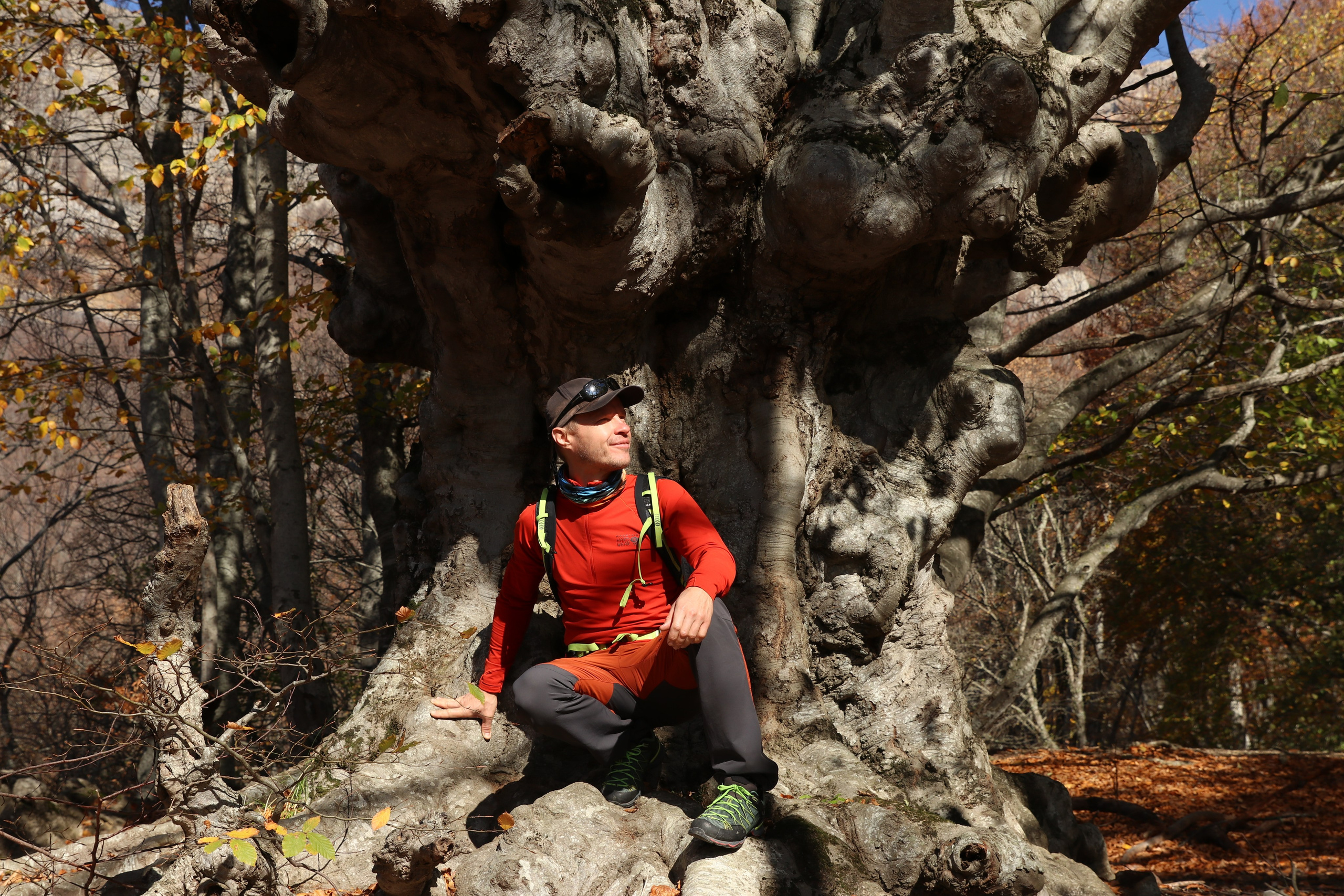 Крым. ЮБК (Гурзуф, Судак и их окрестности). Ноябрь 2023. Путешественник-фотограф из Санкт-Петербурга Татьяна Свистулина