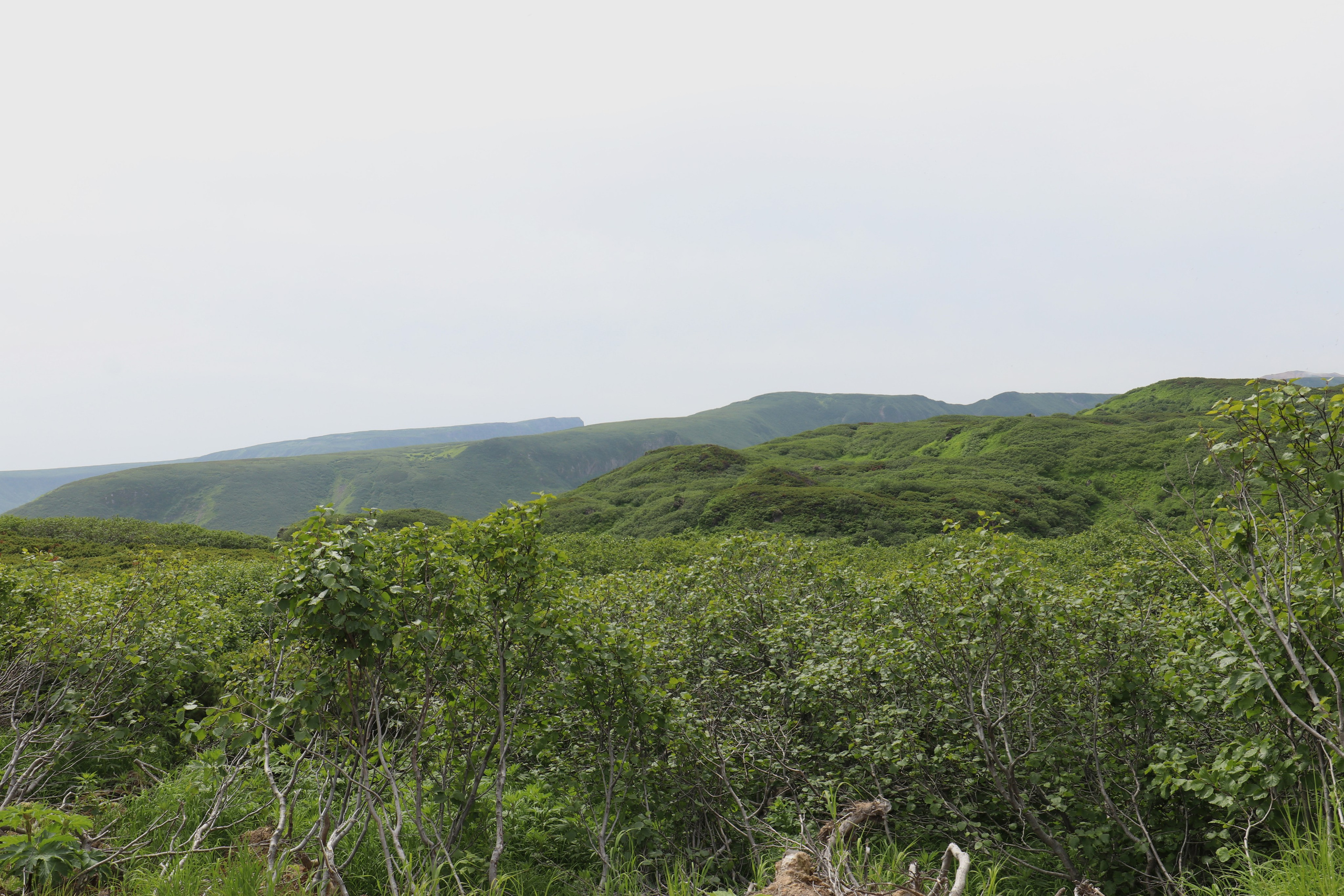 Камчатка и о. Парамушир. Июль 2024. Путешественник-фотограф из Санкт-Петербурга Татьяна Свистулина