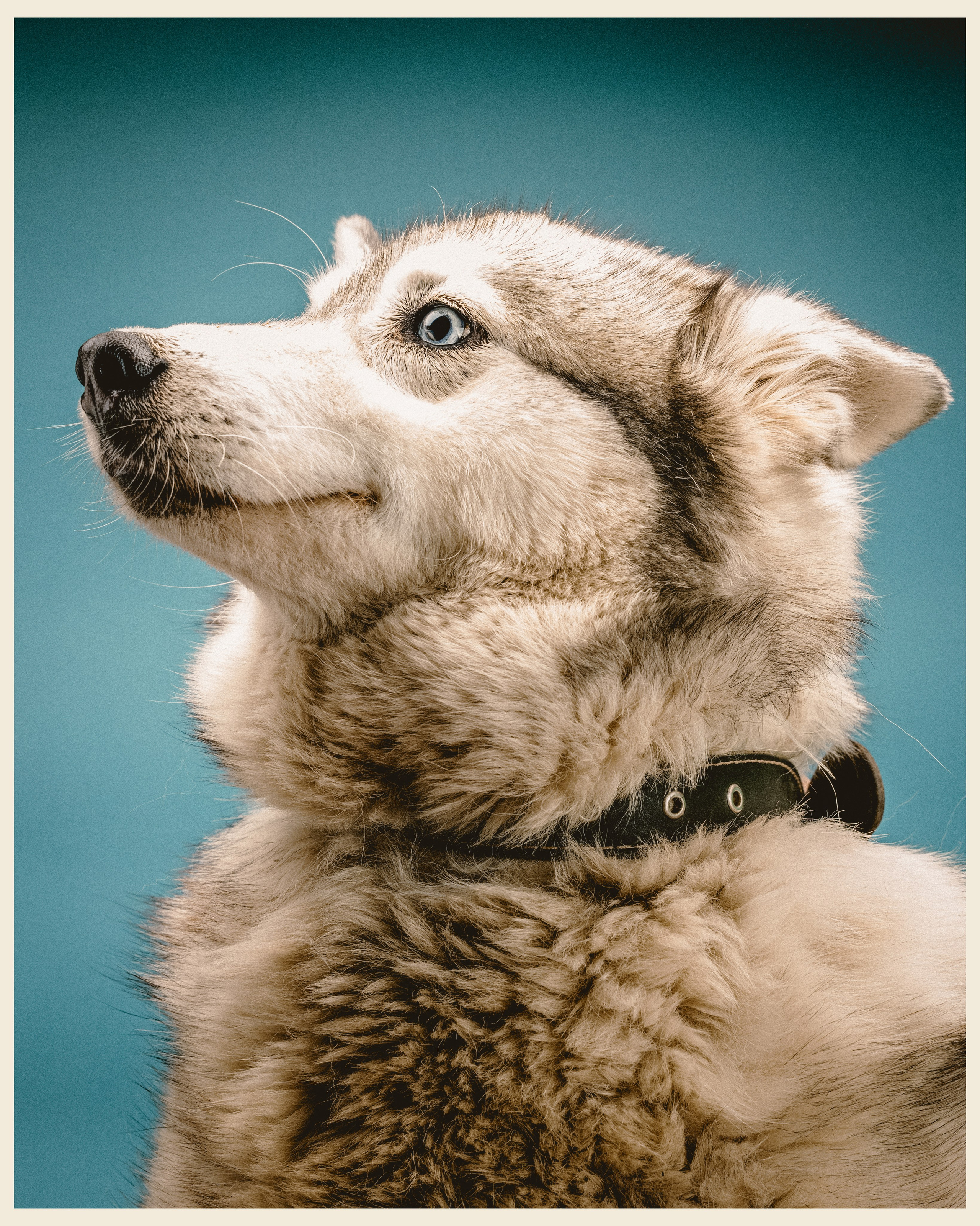 OM x VANO. Ivan Petrov photographer