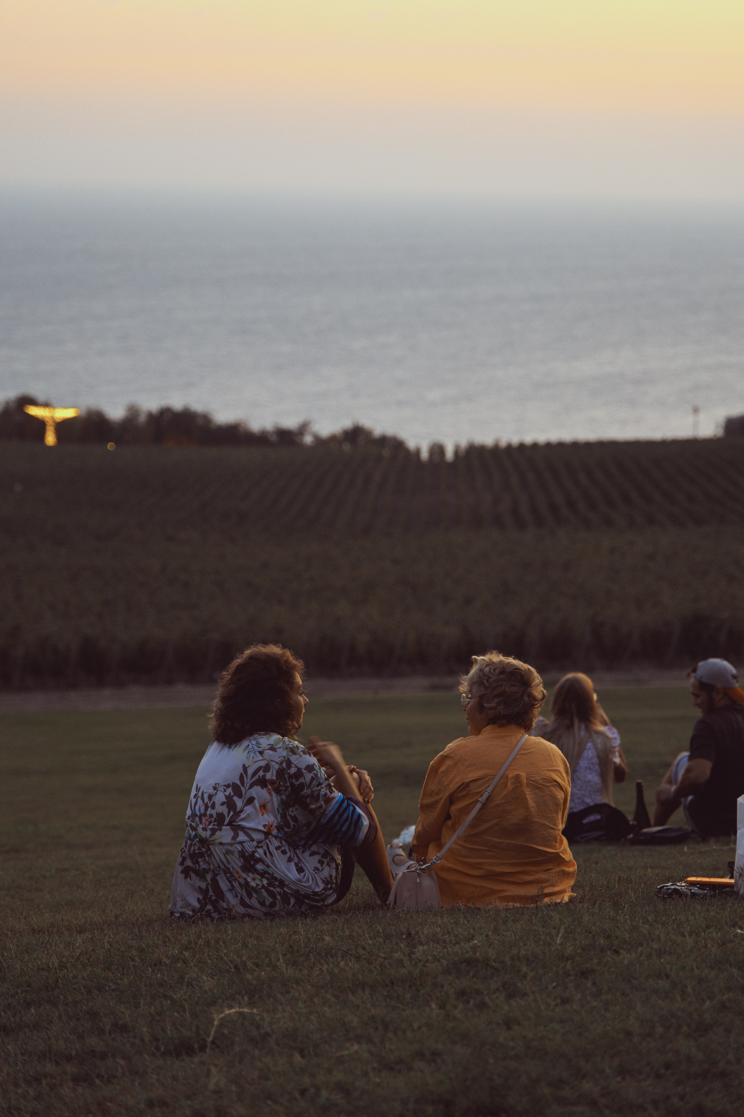 Winepark Fest. Артем Корнев Фотограф