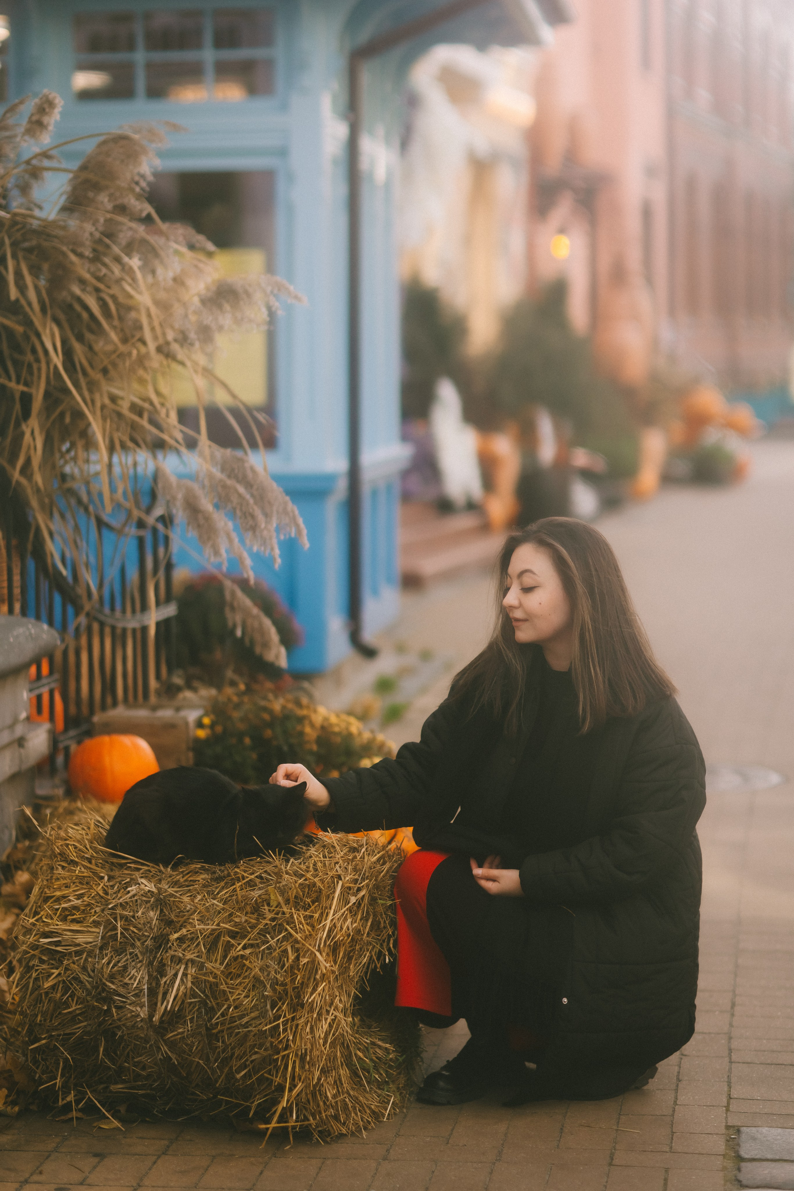 Екатерина. Фотограф Зеленоградск Красильникова Елена