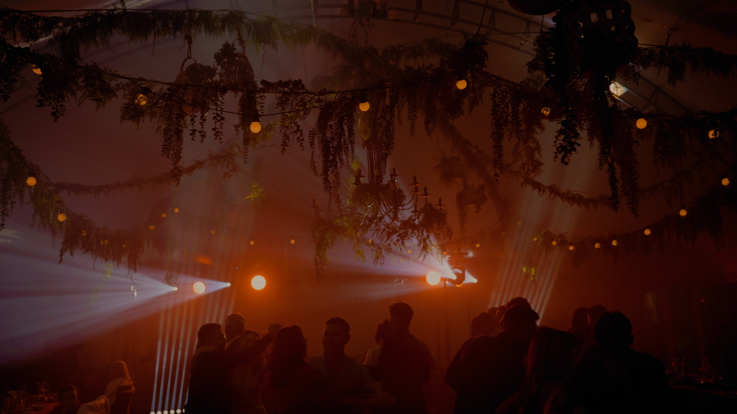 Свадьба Андрея и Виолетты. Видеограф Павел Борисов | Москва | СПБ | Брянск