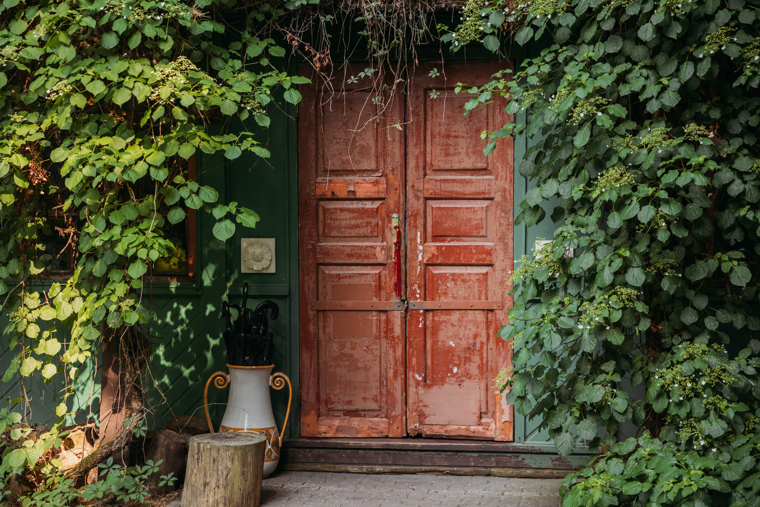 Родные люди «Переделкино». Леся Гаранина. Семейный фотограф/видеограф Москва и область