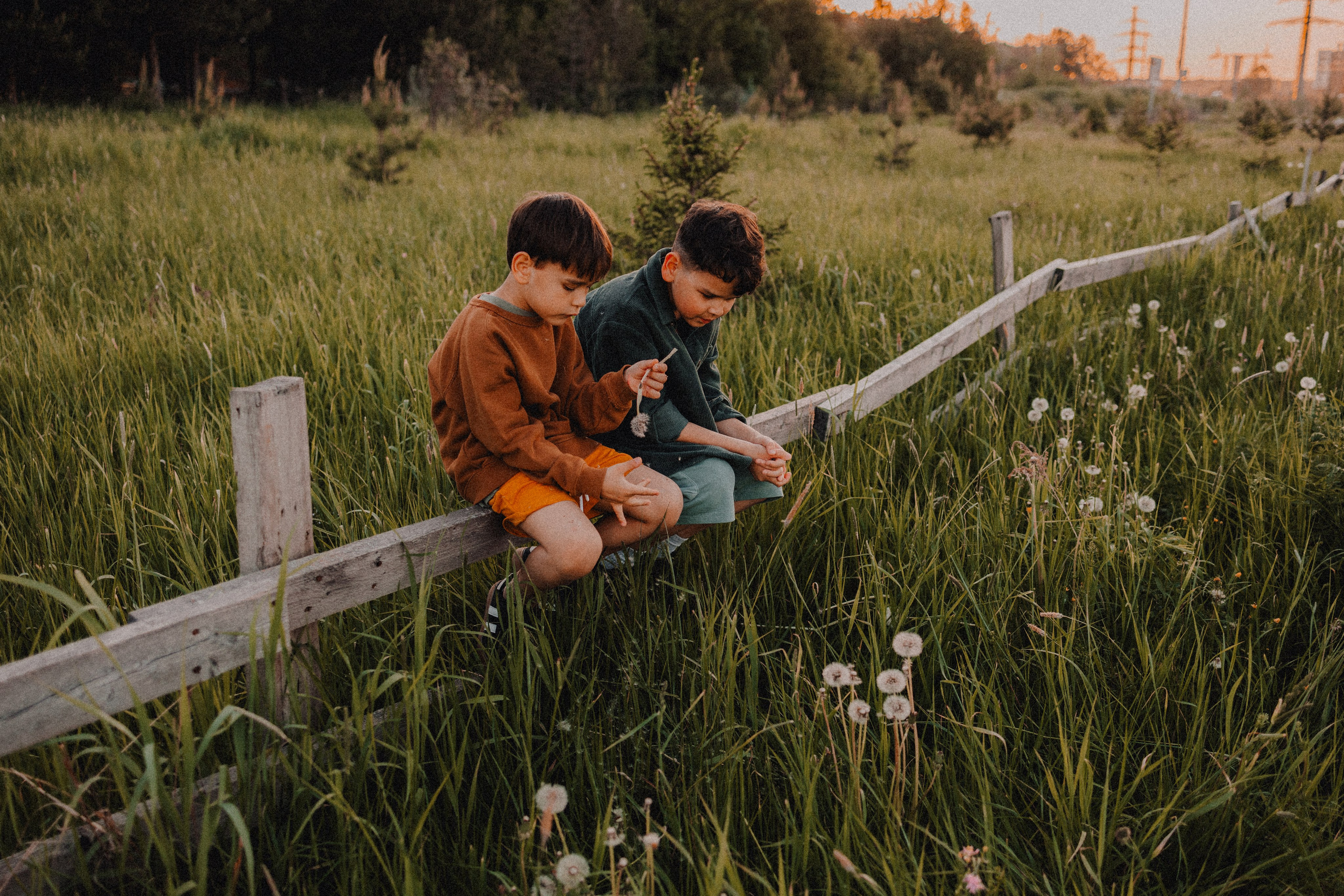 Руслан и Тимур 3. Семейный фотограф Москва