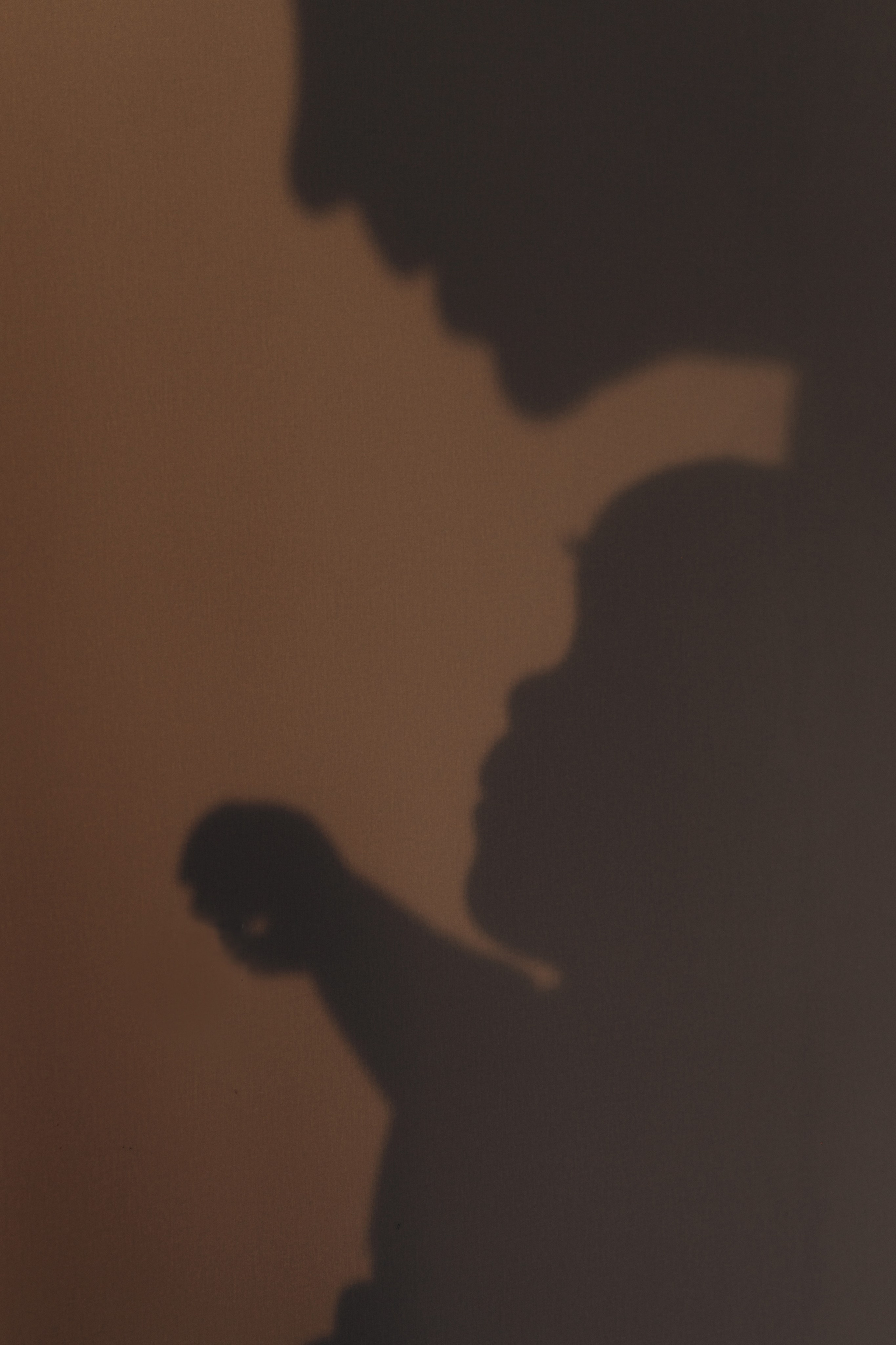 Семейная фотосъемка. Главная