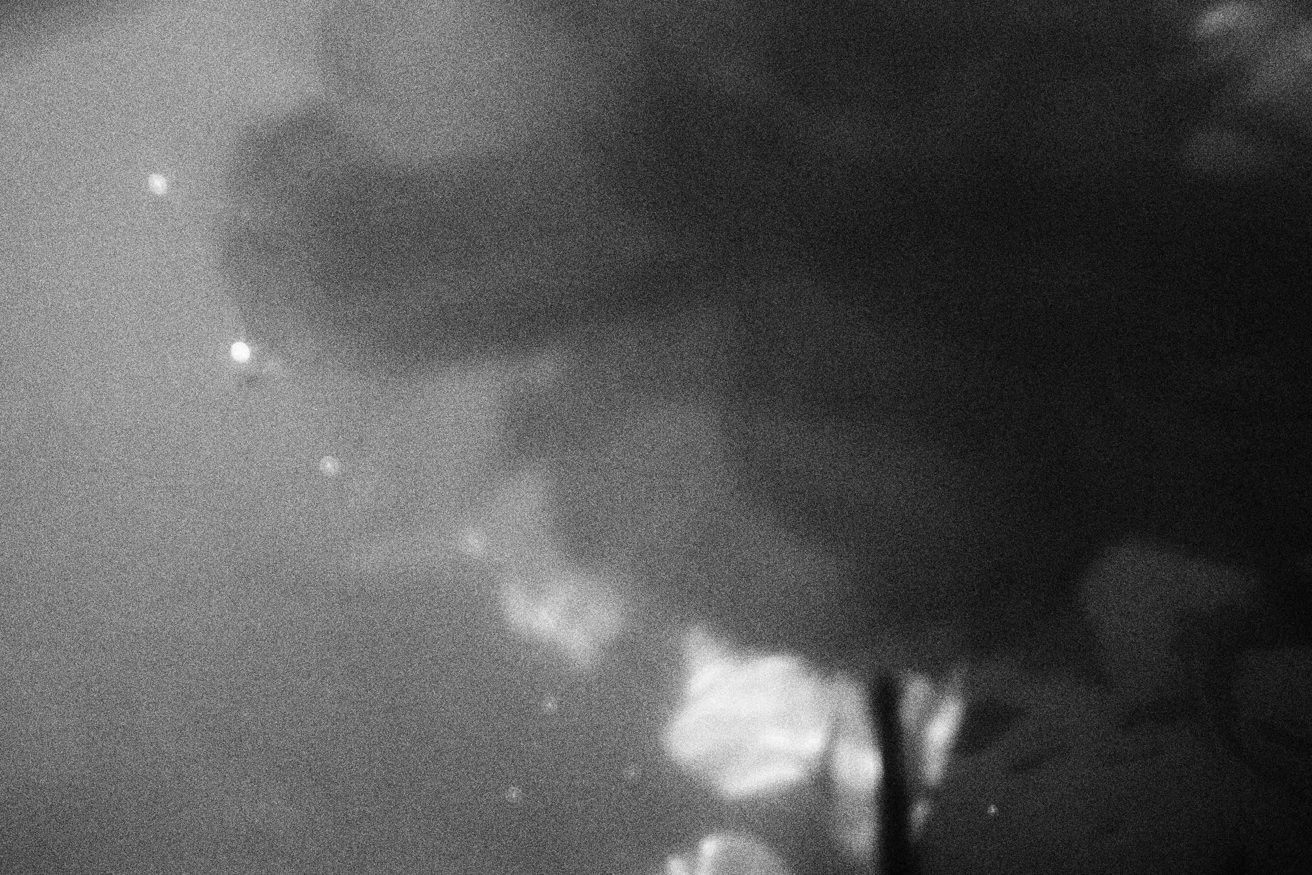 «Видеть. Чувствовать. Сохранять»