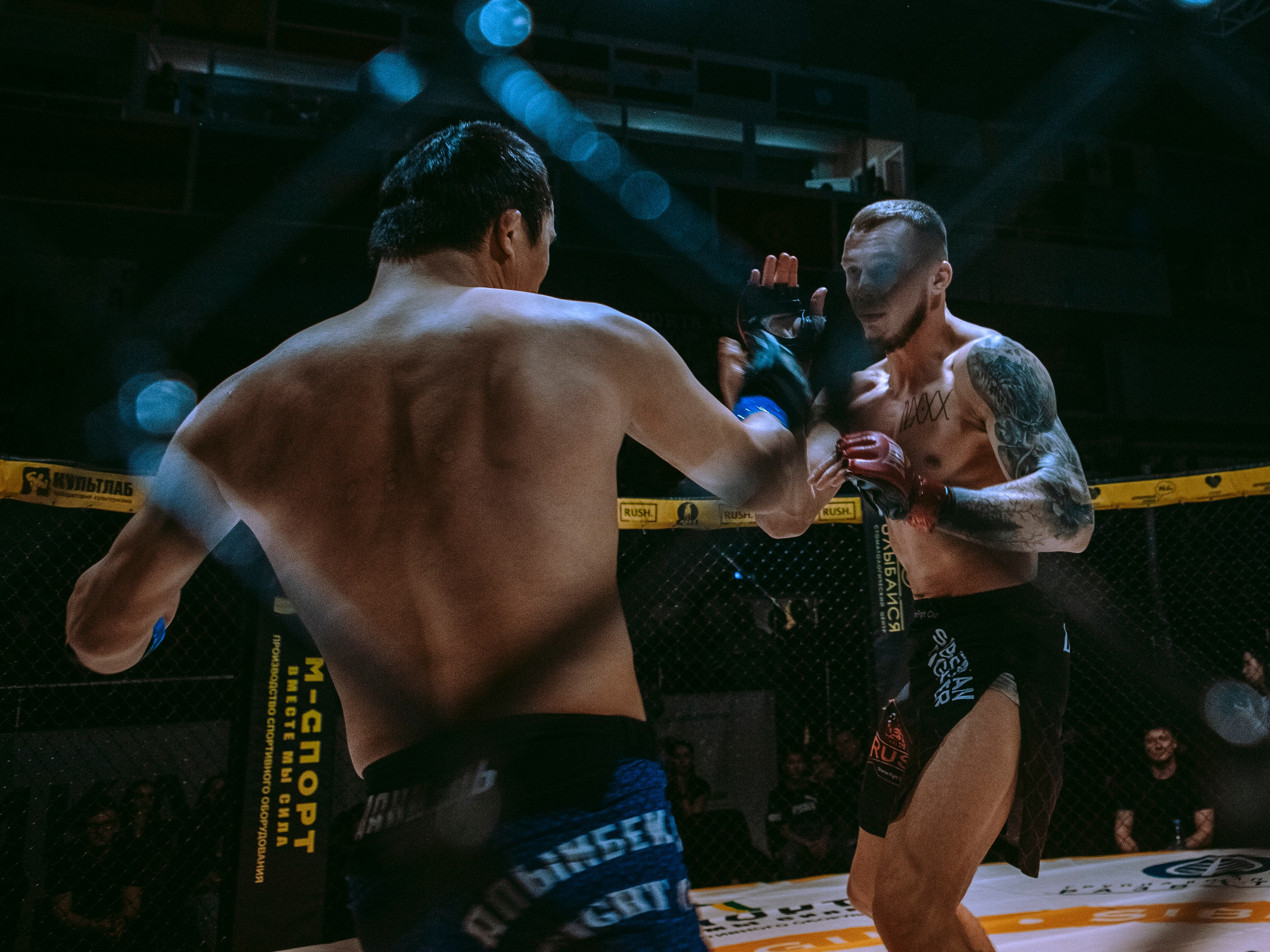 SFL 17 | Siberian Fighting League. Портретный фотограф в Москве Дарья Цезария