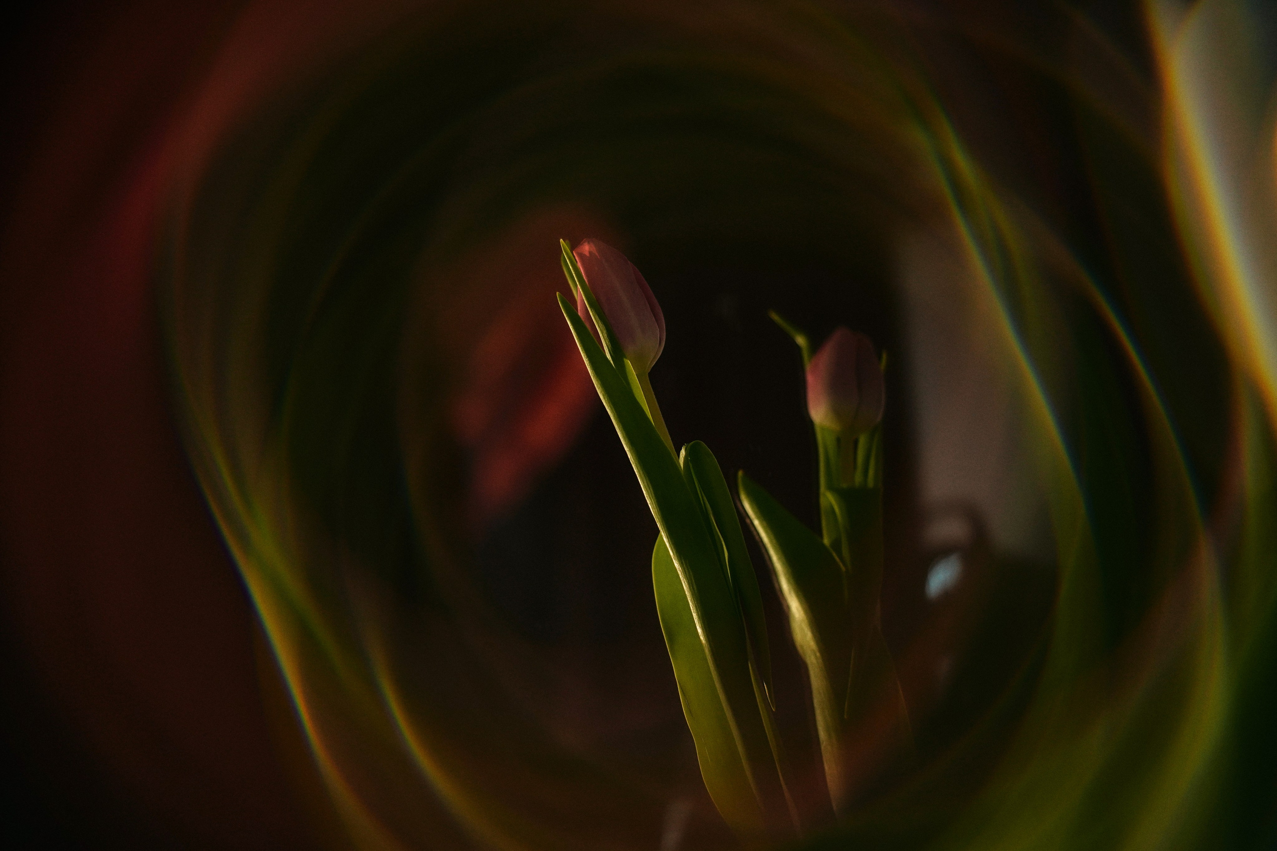 Девичник. Фотограф