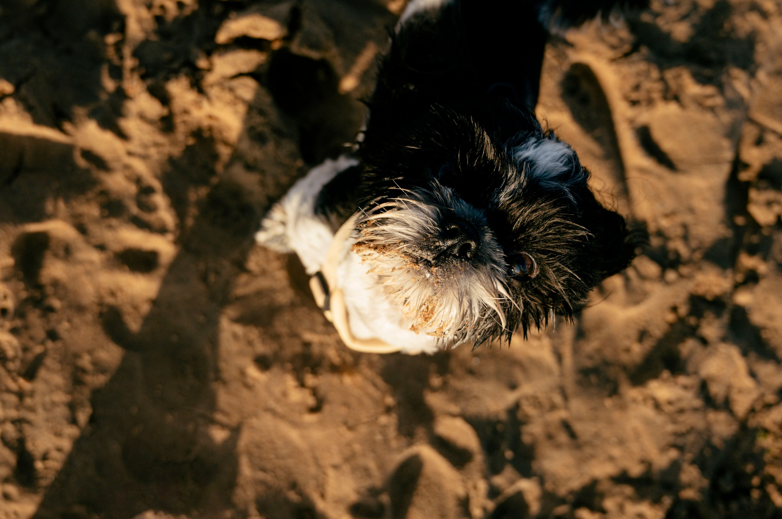 Алина. Профессиональный фотограф беременности в СПБ. Стильные фотосессии беременности в стиле минимализм и классическая фотография