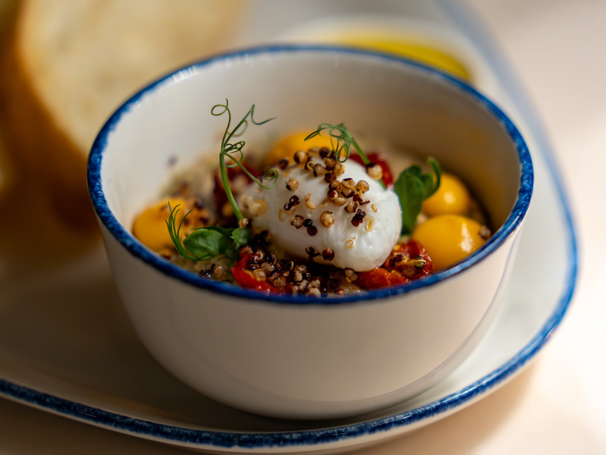 Литературная мастерская с Ольгой Шутовой в «Винотеррии». Репортажный фотограф в Красной Поляне и Сочи Павлюченко Екатерина