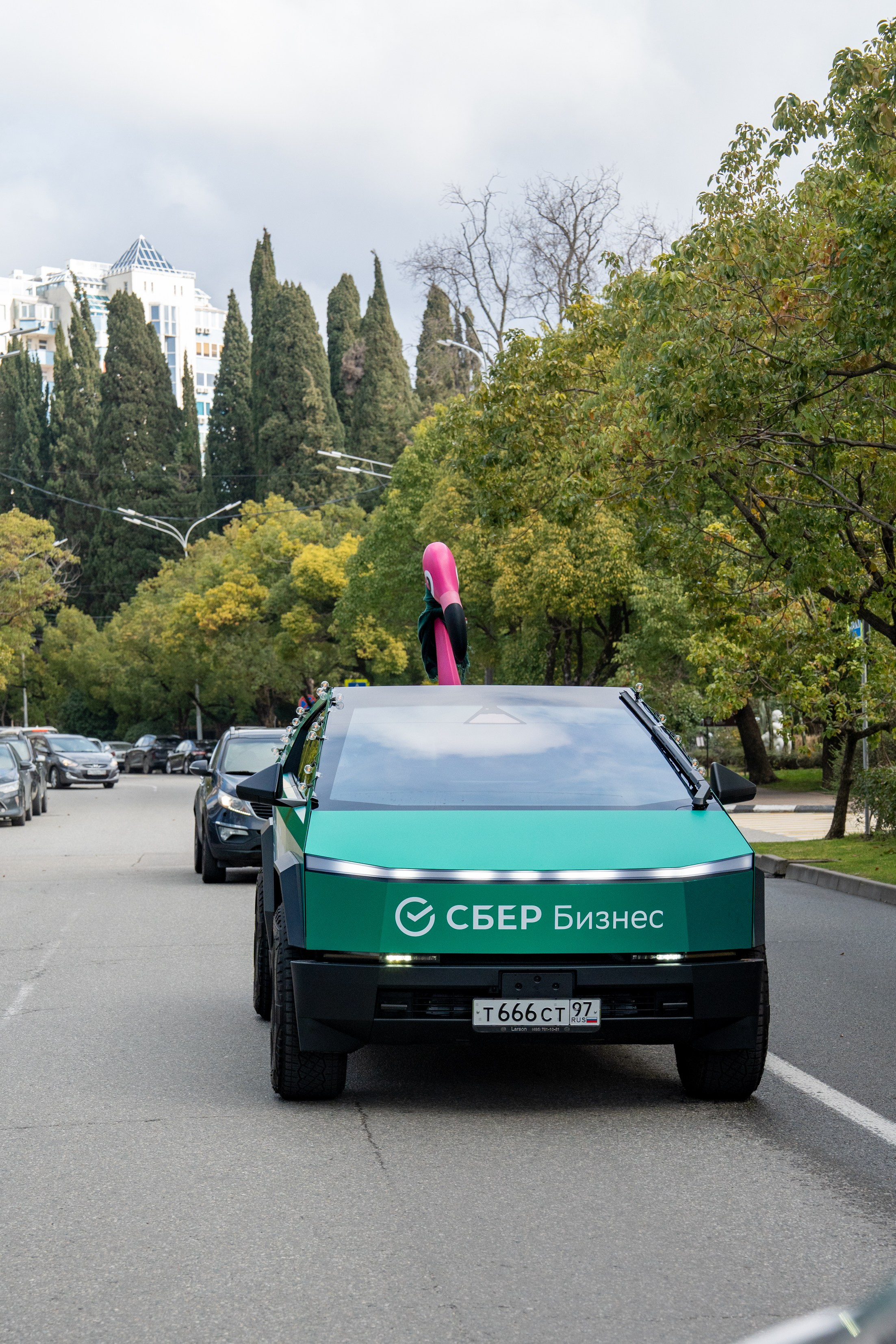 Сбер-маркетинг в Сочи и Красной Поляне. Репортажный фотограф в Красной Поляне и Сочи Павлюченко Екатерина