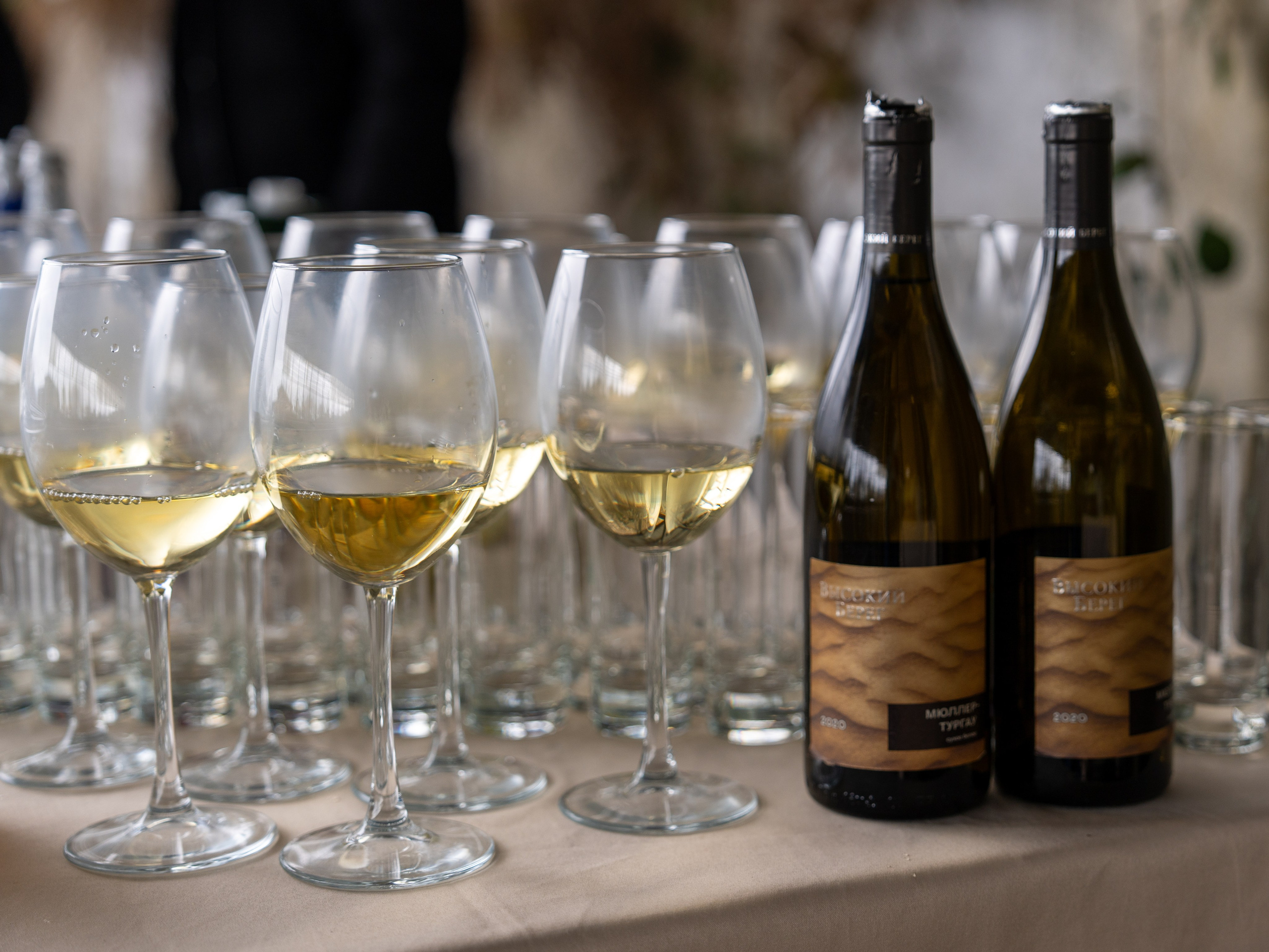 MICE мероприятие на ферме Экзархо. Репортажный фотограф в Красной Поляне и Сочи Павлюченко Екатерина