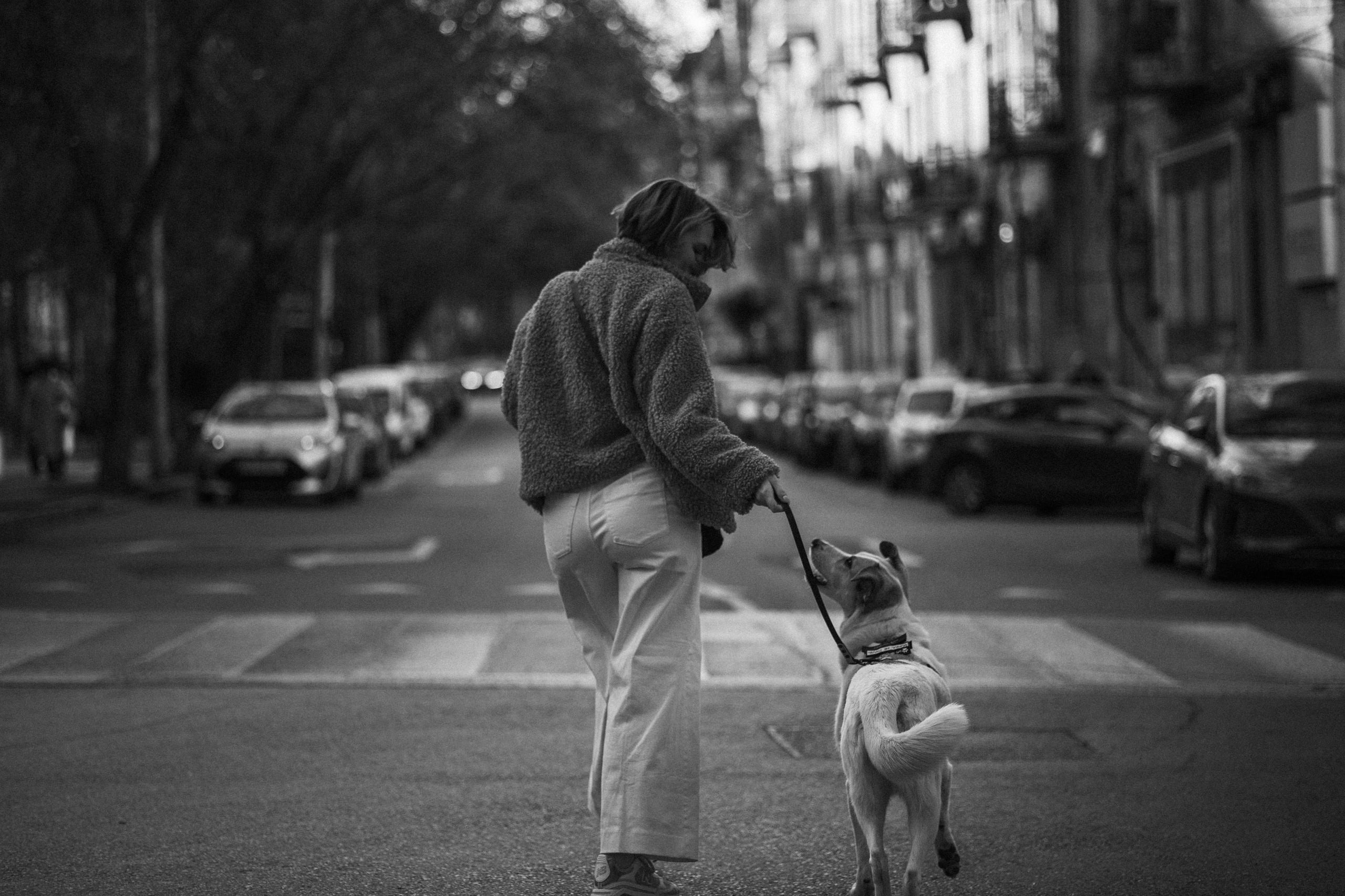 Саша и ее хвосты. Фотограф — Анималист | Санкт-Петербург