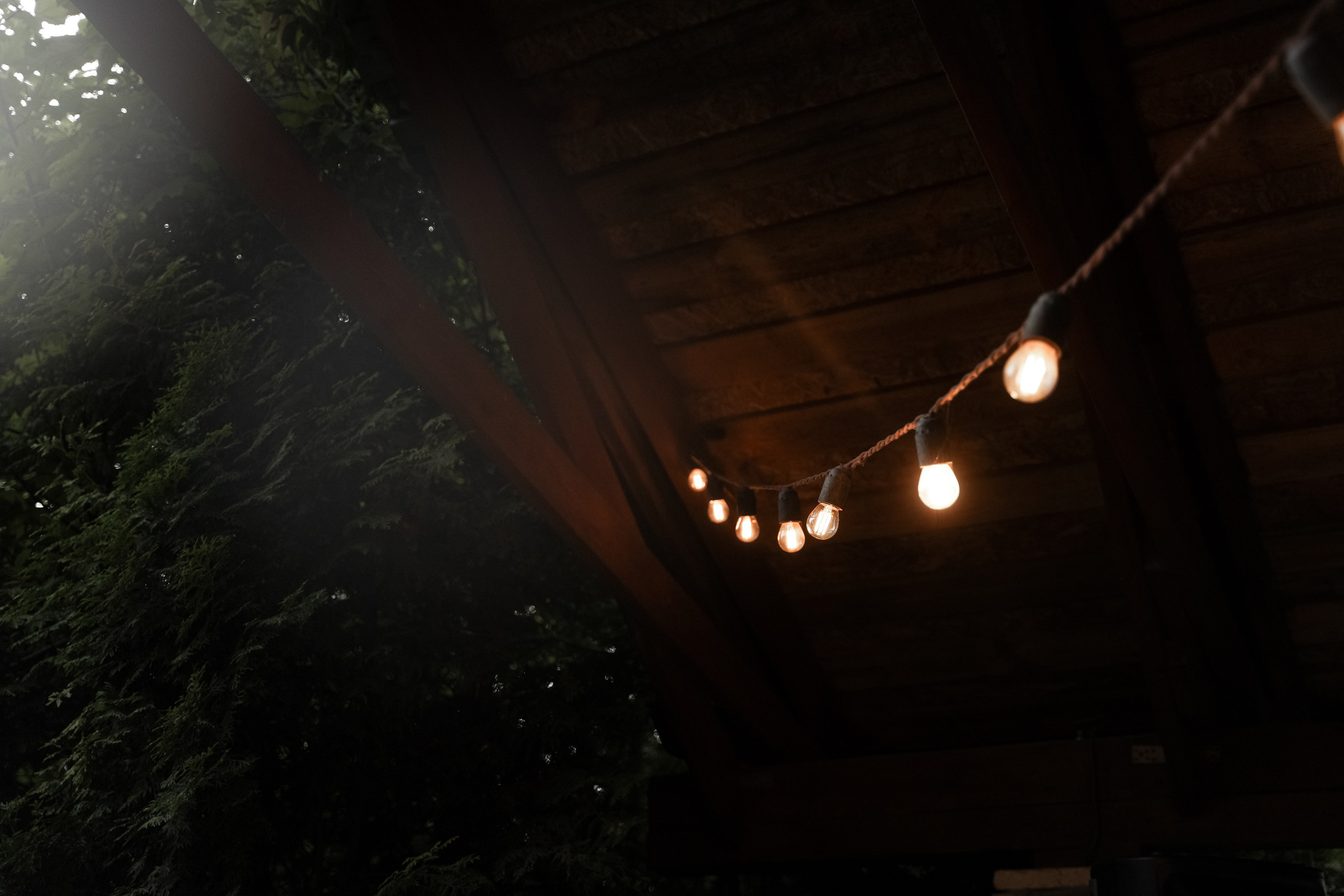 Анфиса и Валерий. Свадебный фотограф Марина Попова