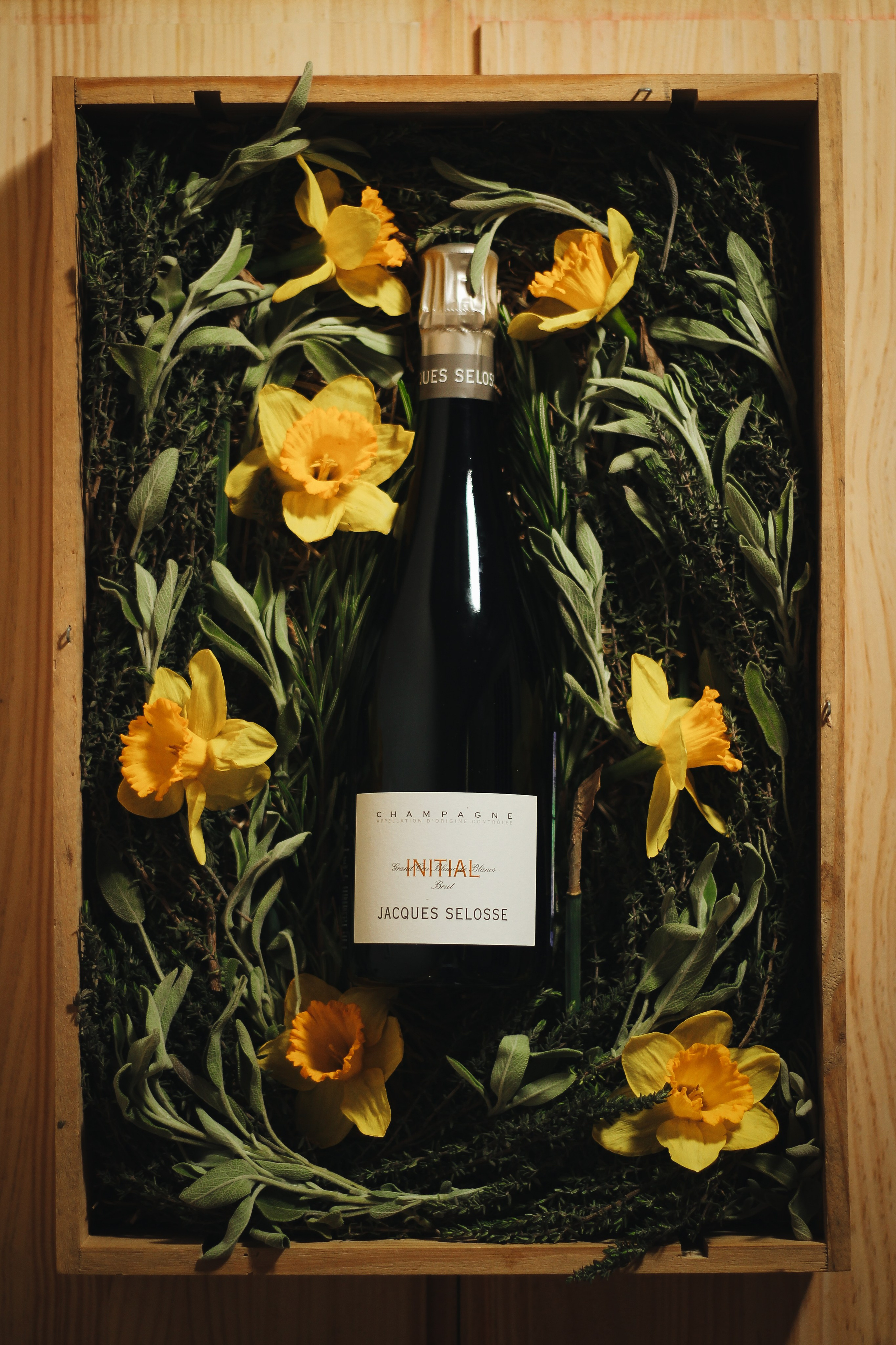 Мой сет-дизайн. Света Голобородько, фудфотограф в Санкт-Петербурге