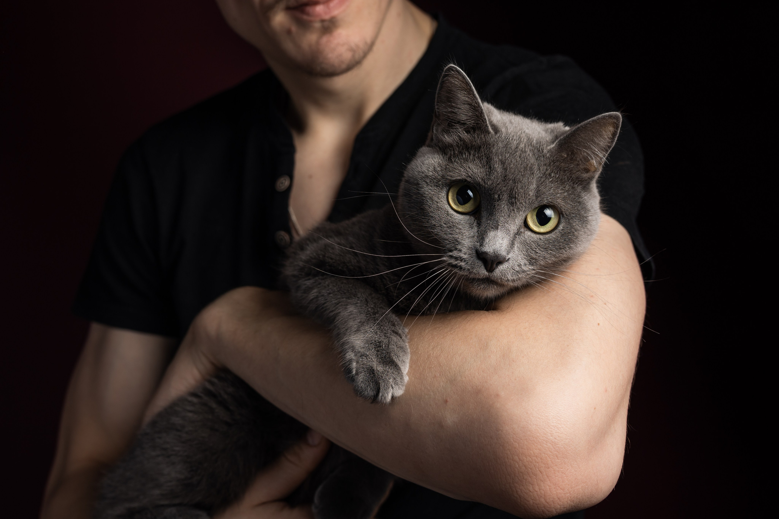 ФОТОСЕССИИ С ЖИВОТНЫМИ. Свадебный фотограф Санкт-Петербург Катерина Ширяева