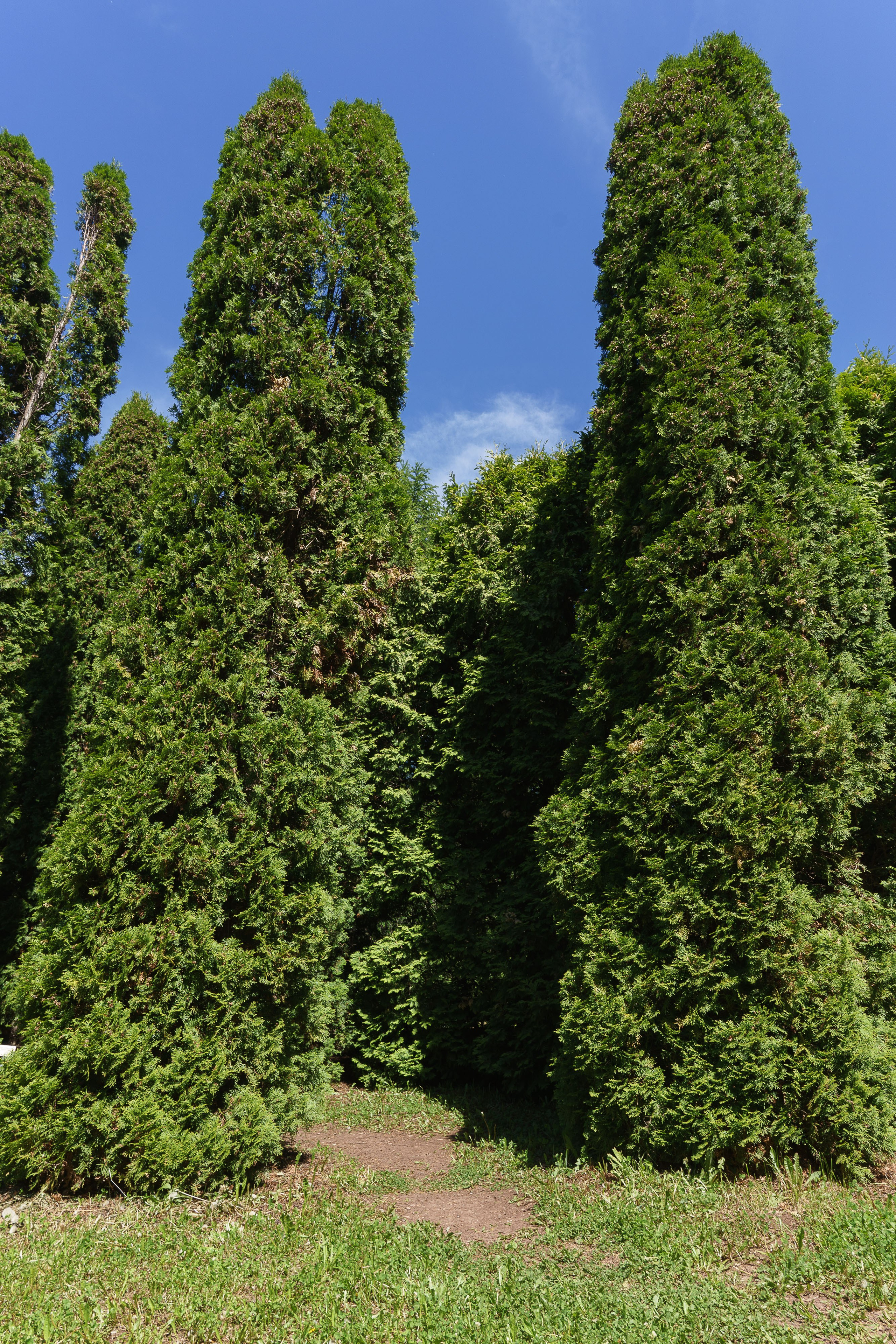 Ботанический сад Уфа