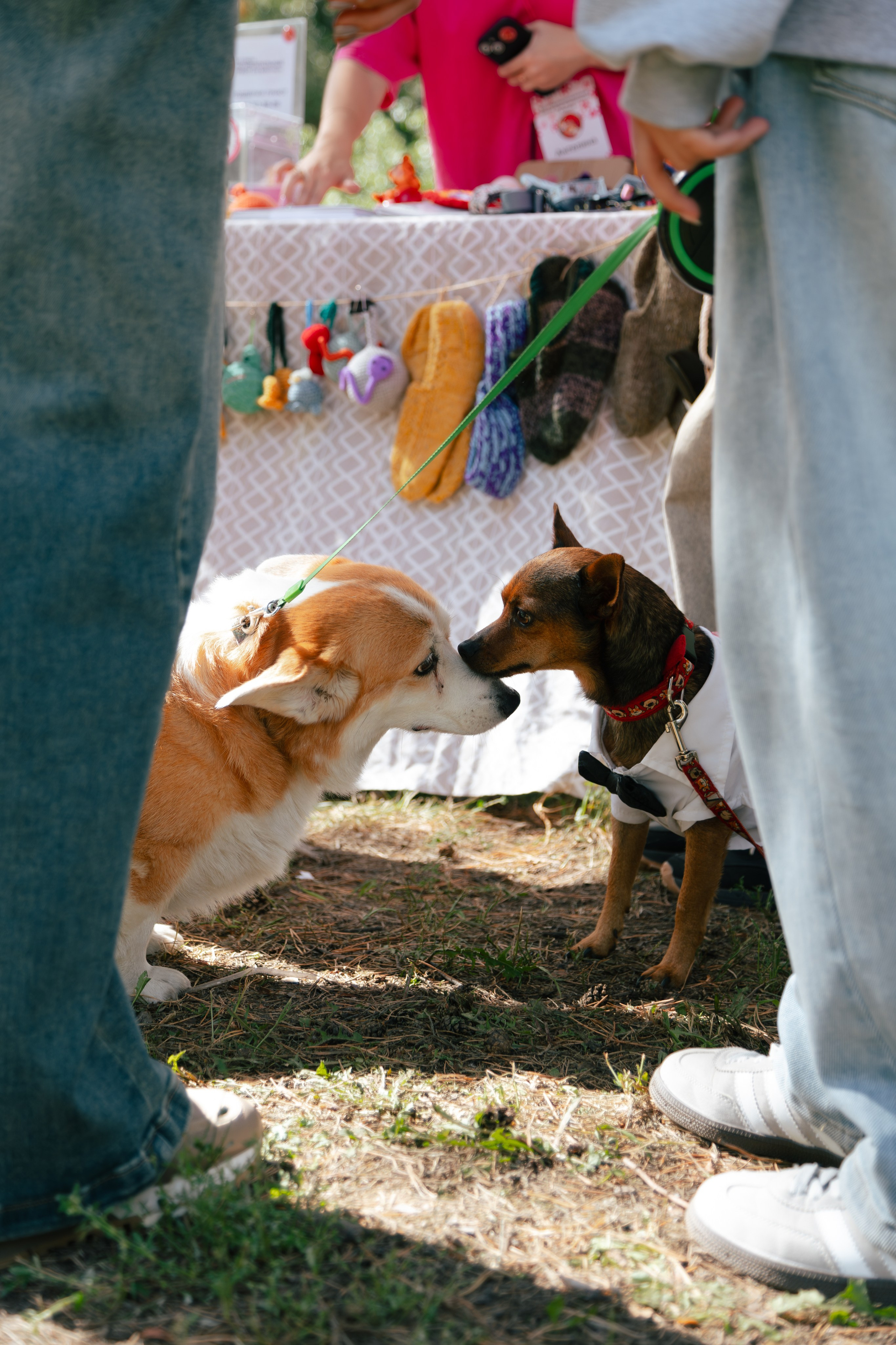 Репортаж. Репортажный и портретный фотограф в Омске Дарья Фральцова