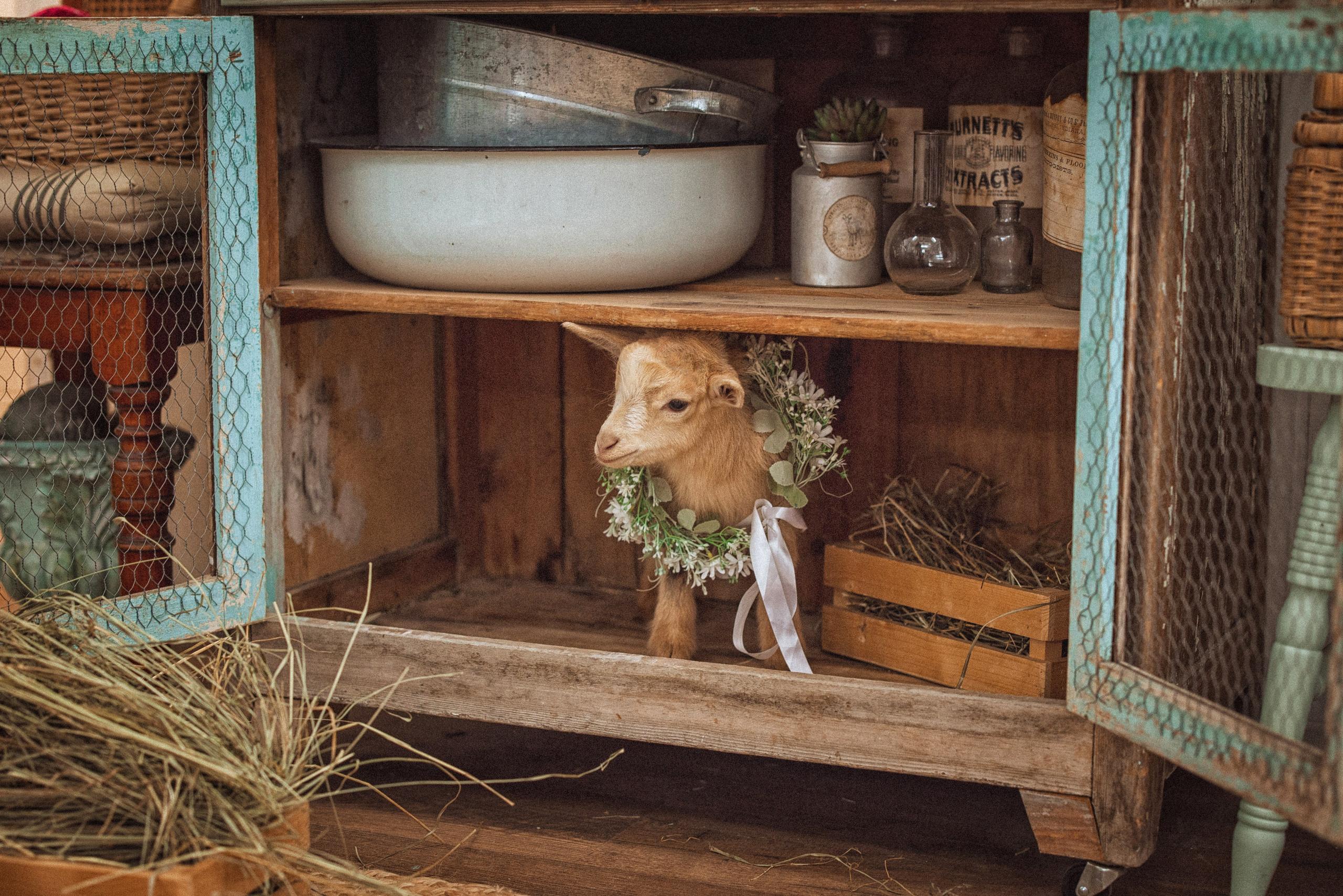 Пасхальные фотосессии в фотостудии Ольги Сурухановой, город Краснодар. Семейный и детский фотограф в Краснодаре Анна Трашкова