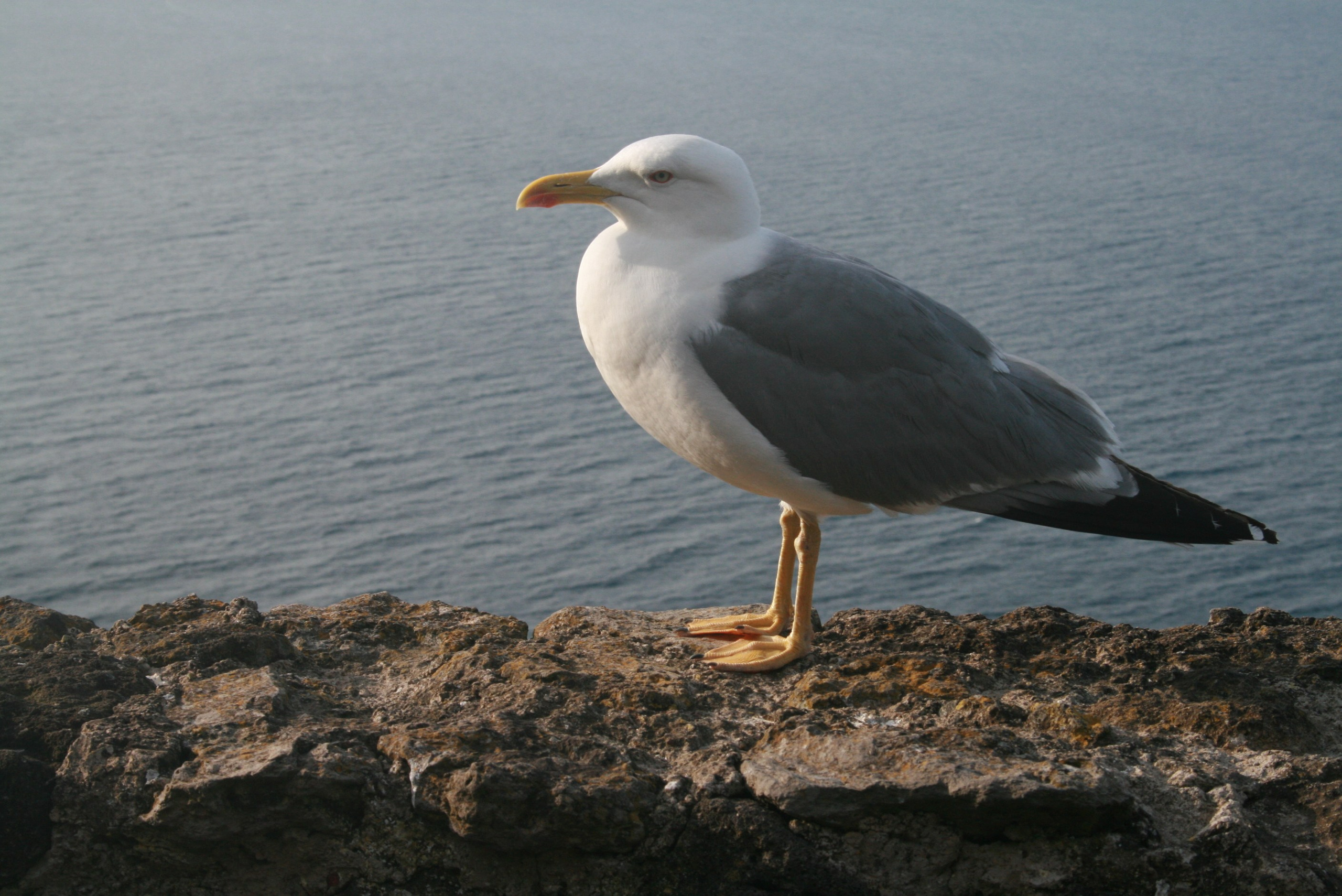 ИТАЛИЯ. Портретный и репортажный фотограф Наталья Горобец