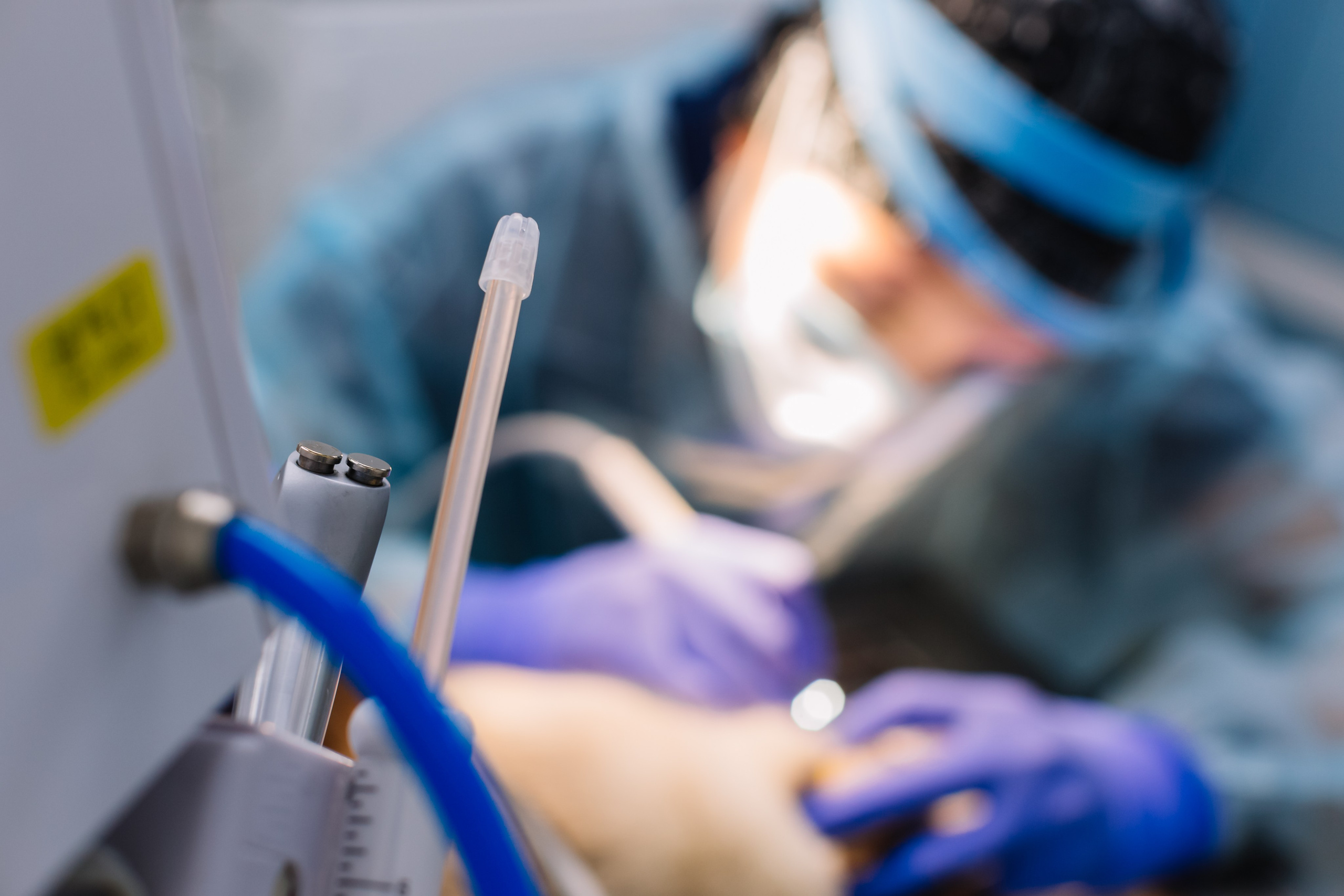 алёна малахова фотограф новосибирск семейный детский домашняя фотосессия в новосибирске день рождения репортажная съёмка фотосессия с лошадьми на конюшне деревня алтай  на природе фотосессия в детском саду мама и сын предложение руки и сердца идея  помолвка фотосессия берег закат детский день рождения годик торт аниматор лофт игровая продолжение следует prodoljenie_sleduet_  корпоратив тимбилдинг первоклашка линейка  контент  бизнес портрет оперный новат франция берет весна девушка