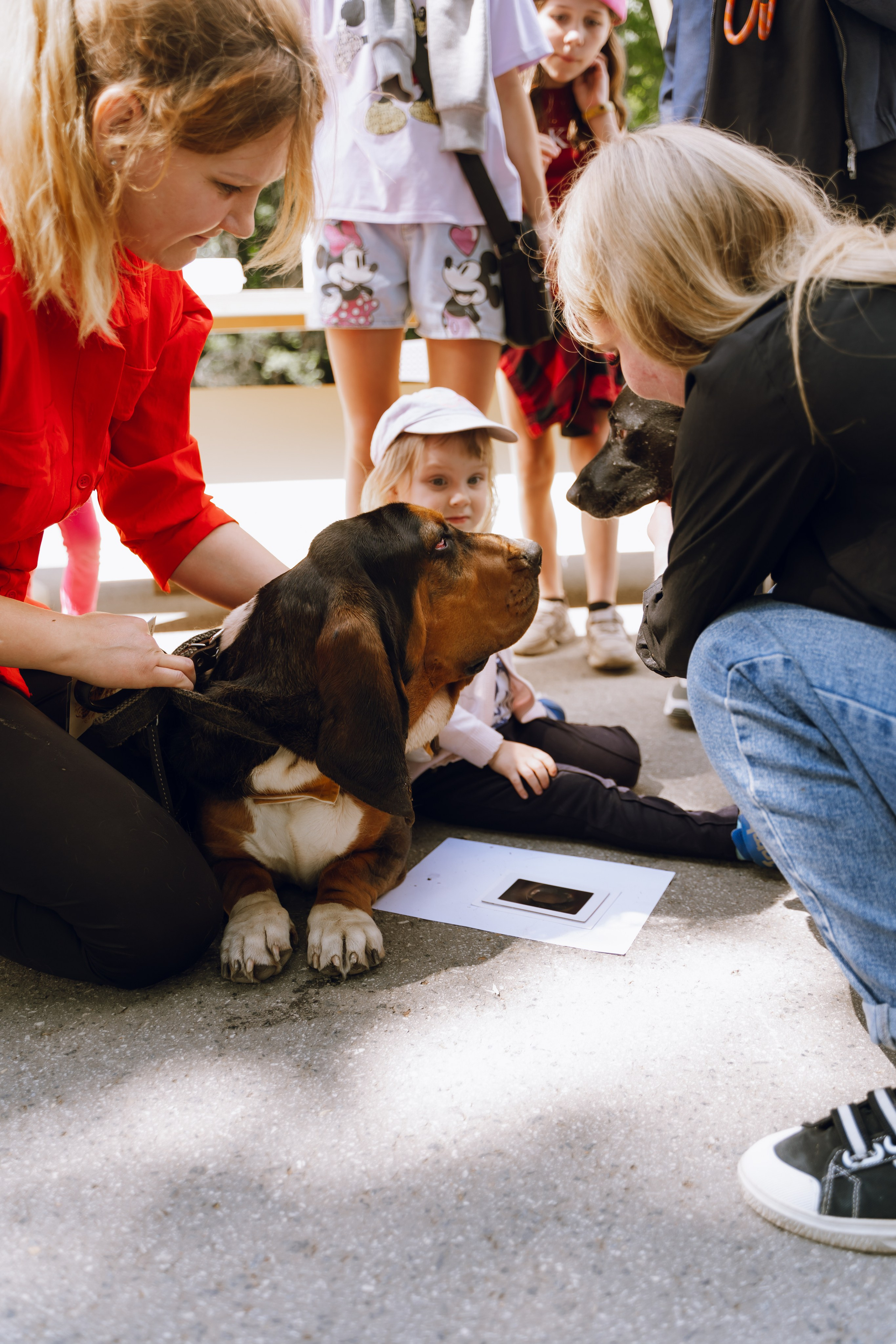 Площадка фестиваля «Мампус и его друзья» в Лесопарке 2025. Фотограф Надежда Погребняк | Рязань | Москва
