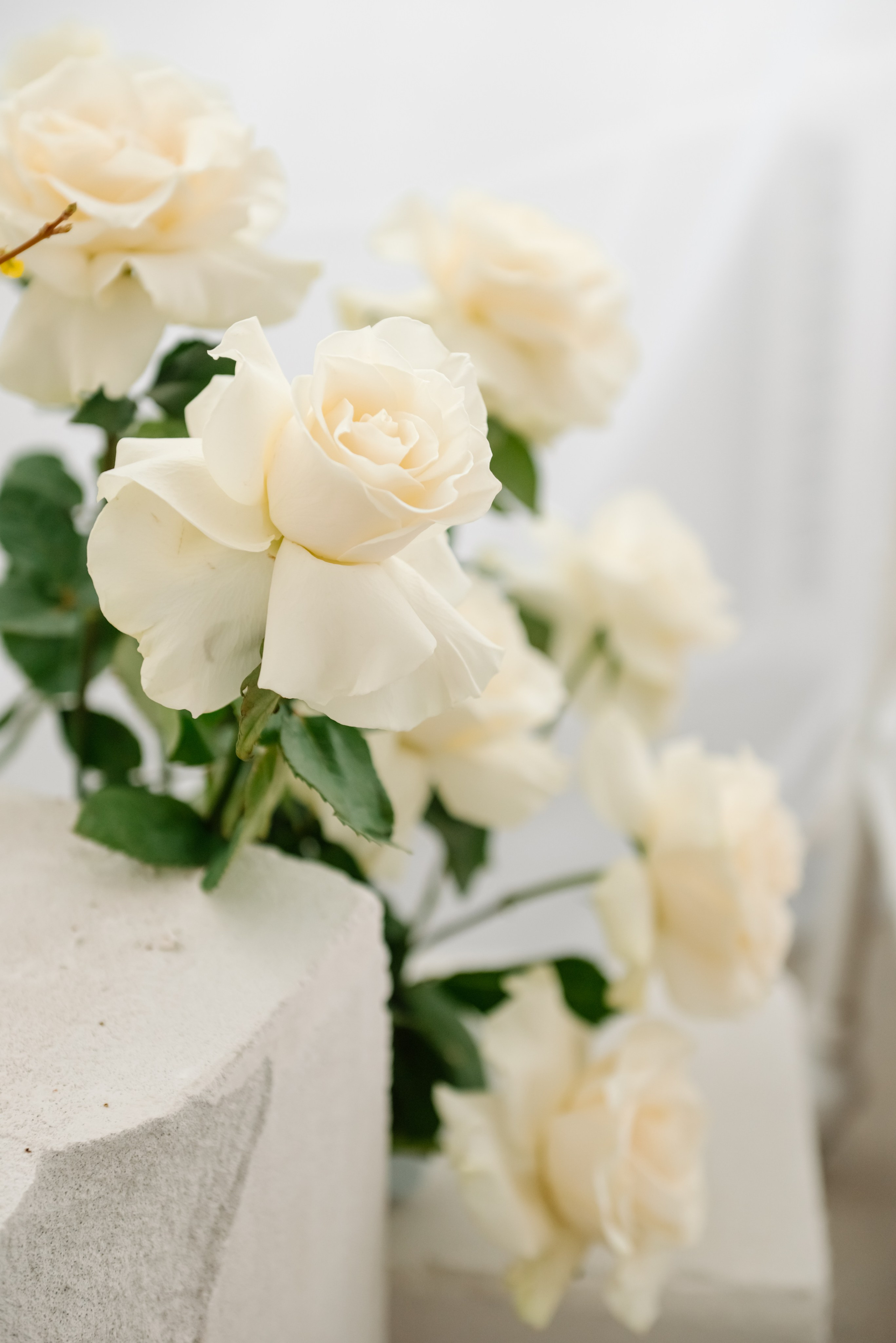 Индивидуальная. Цветочное настроение. Свадебный и сеейный фотограф в Санкт-Петербурге Елена Худякова