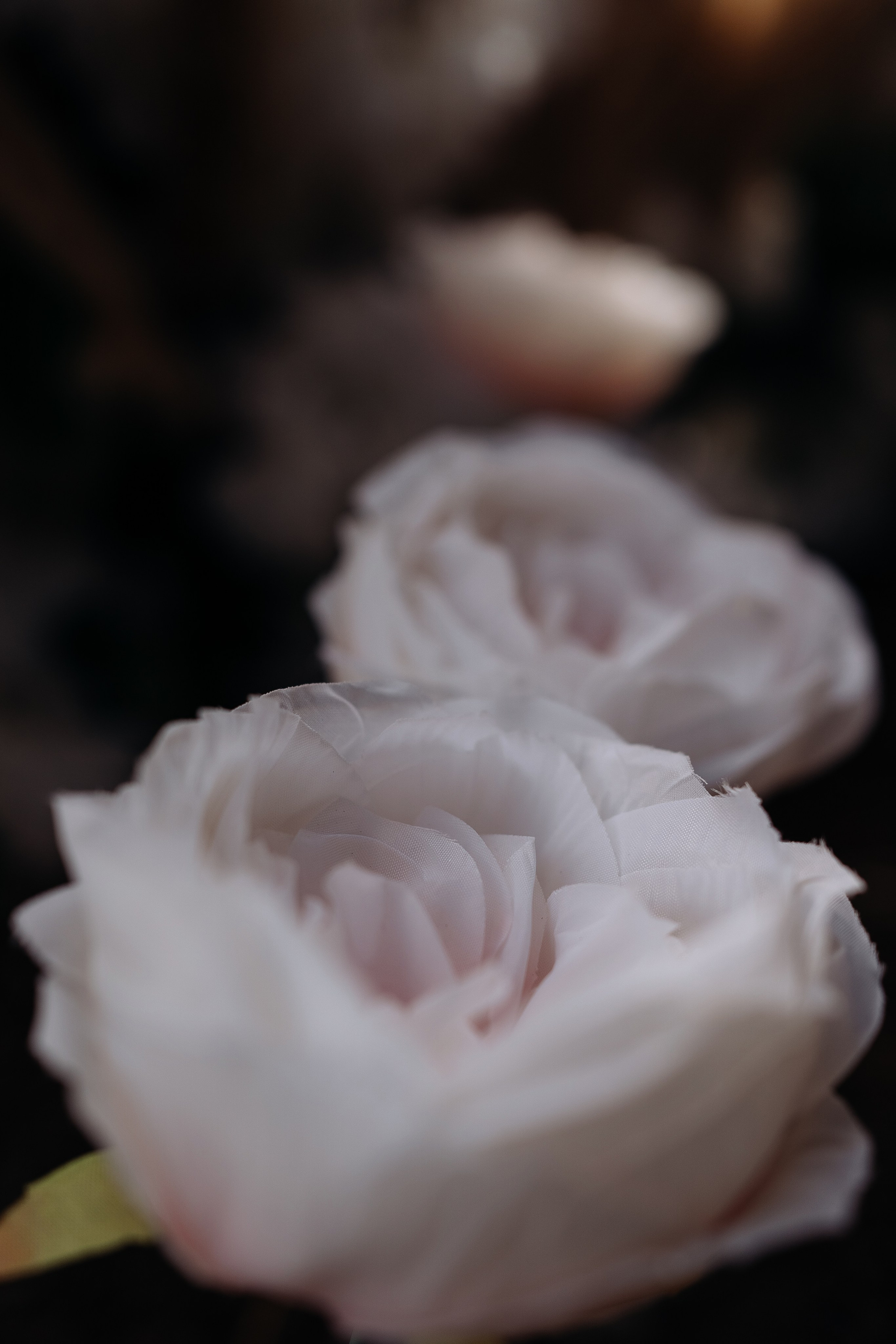 Ярославна и Артём. Фотограф Тверь. Анна Драго