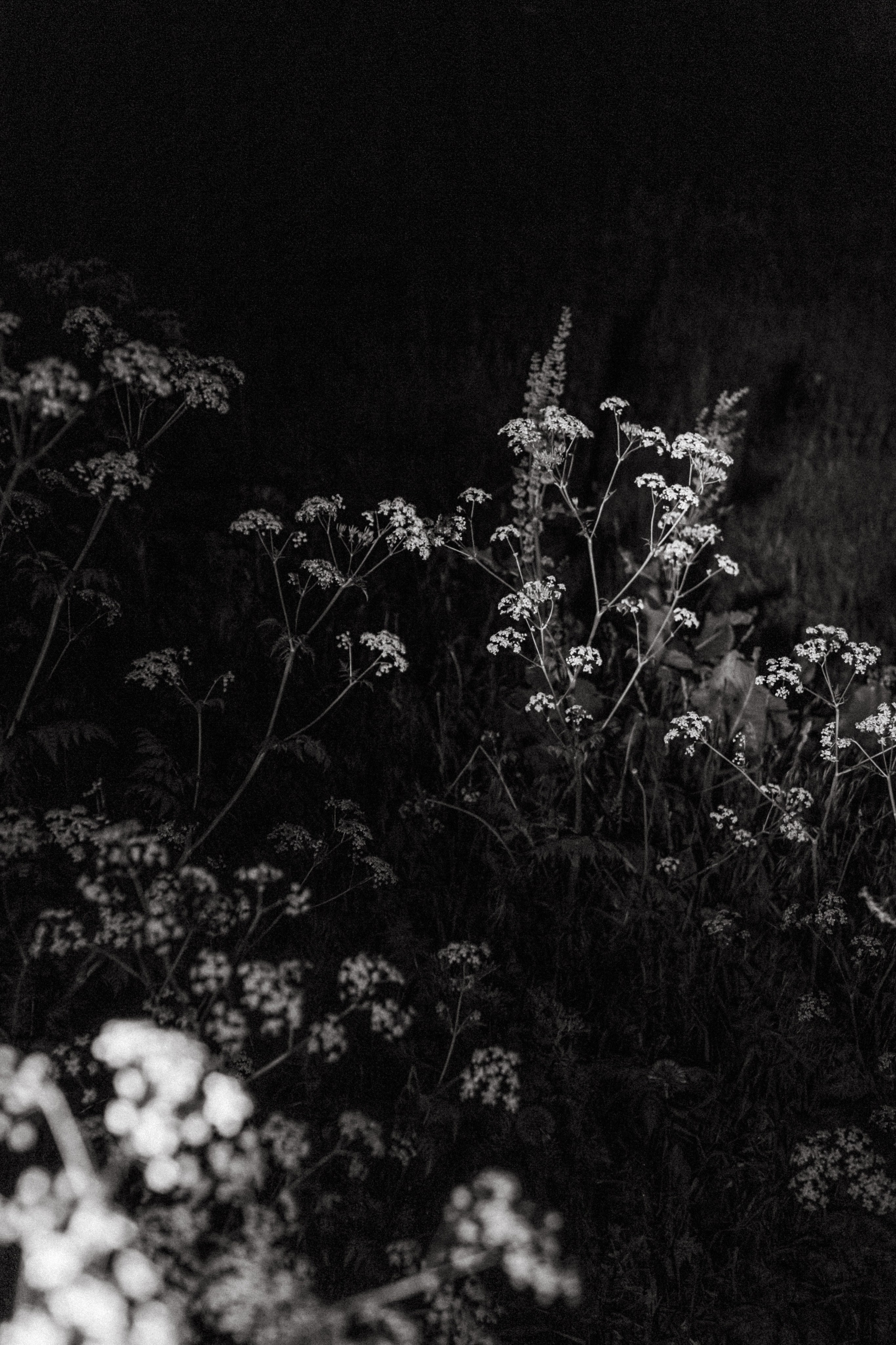 Фотограф Надя Доркина