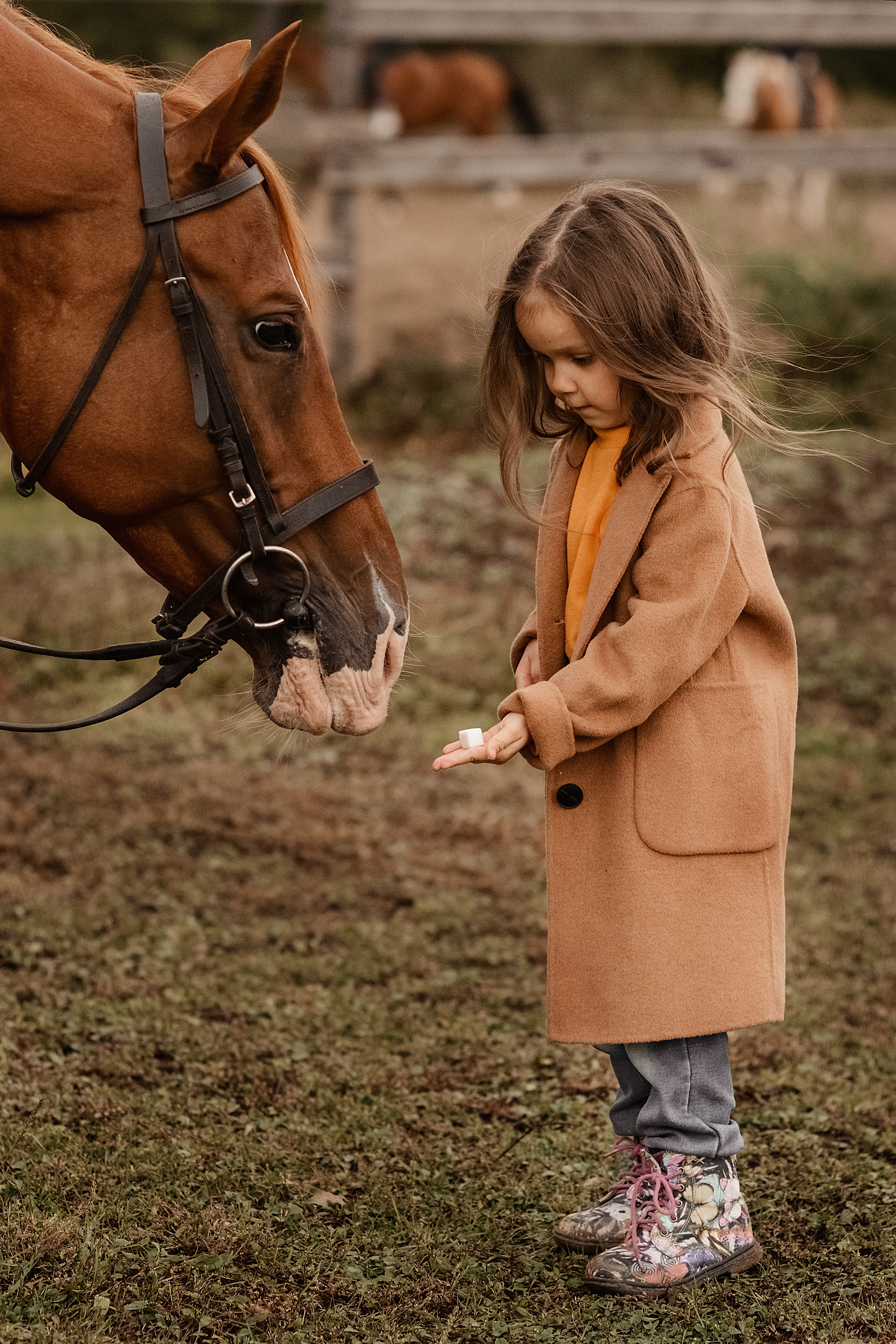 Однажды в сентябре. Фотограф г. Хабаровск Наталья Кальницкая