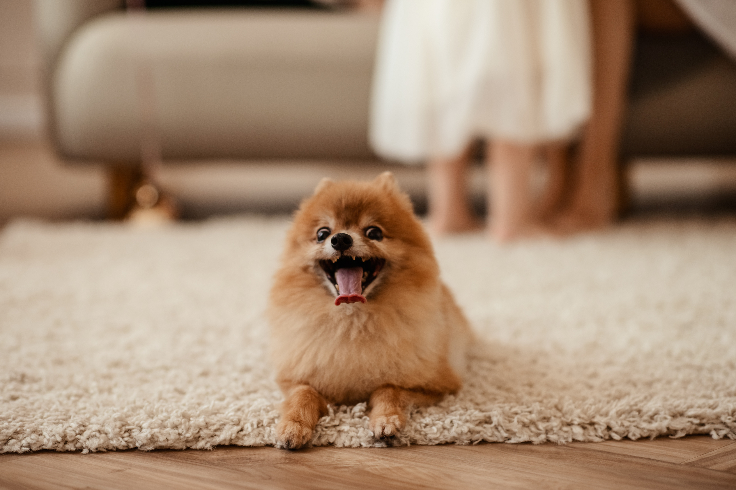 Время Праздника. Фотограф г. Хабаровск Наталья Кальницкая