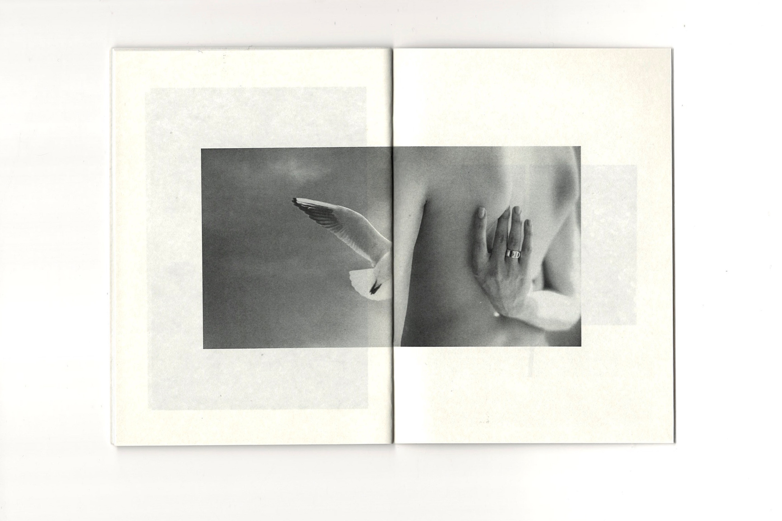 Зин «КОКОН». Фотограф Анна Кирнос