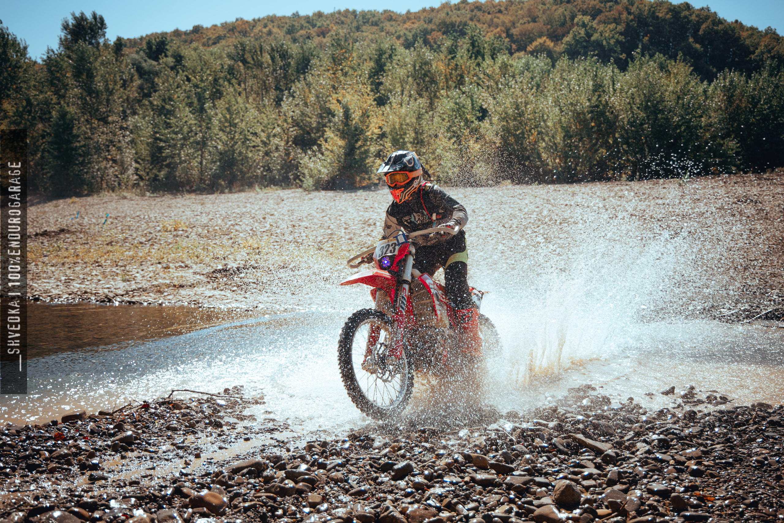 1 лесной день. Ваш экстрим фотограф Кудрева Яна