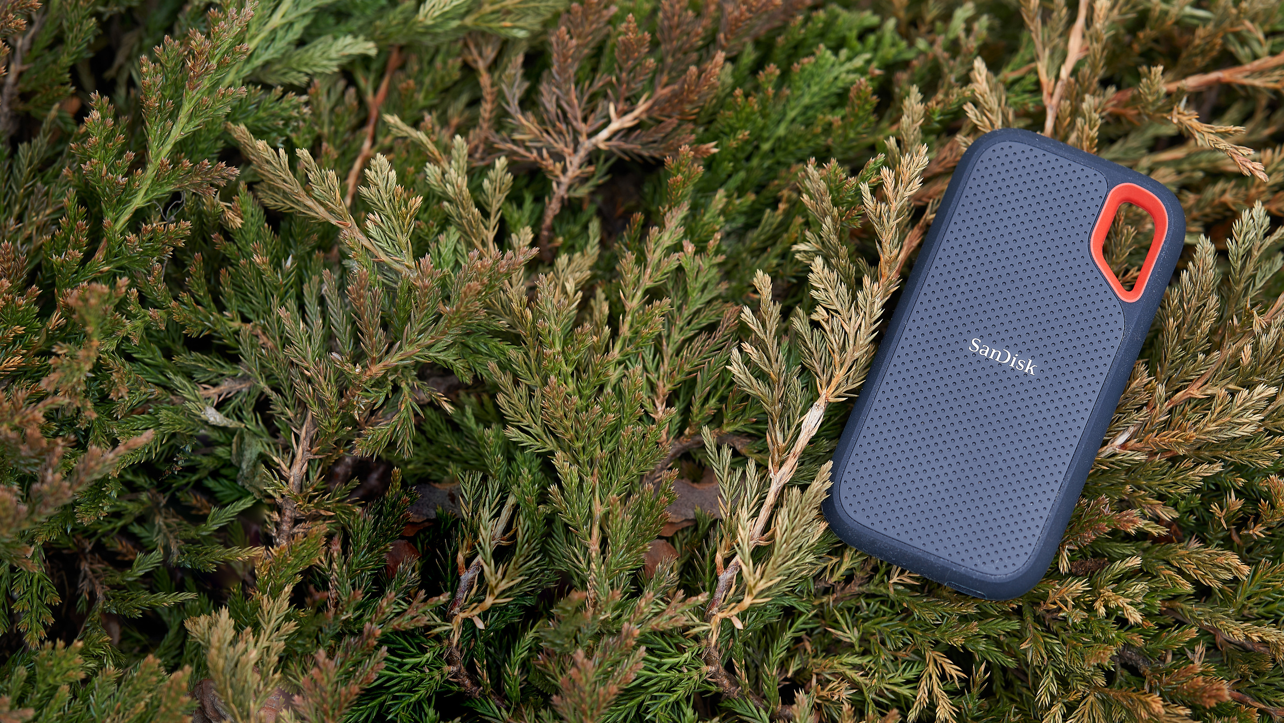 SanDisk. Сергей Горшенин — профессиональный фотограф