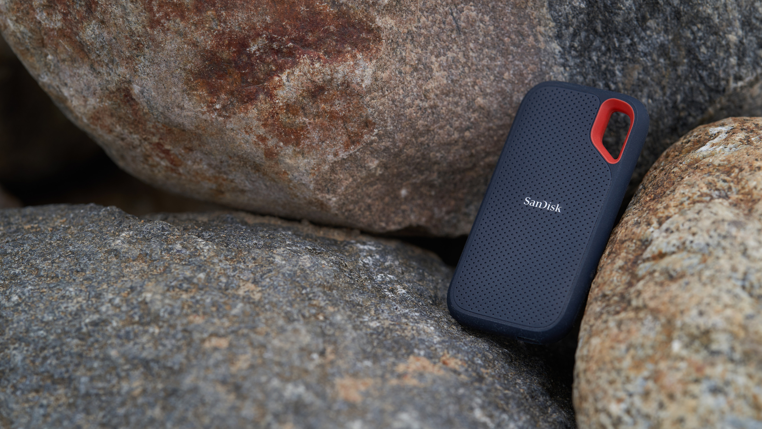 SanDisk. Сергей Горшенин — профессиональный фотограф