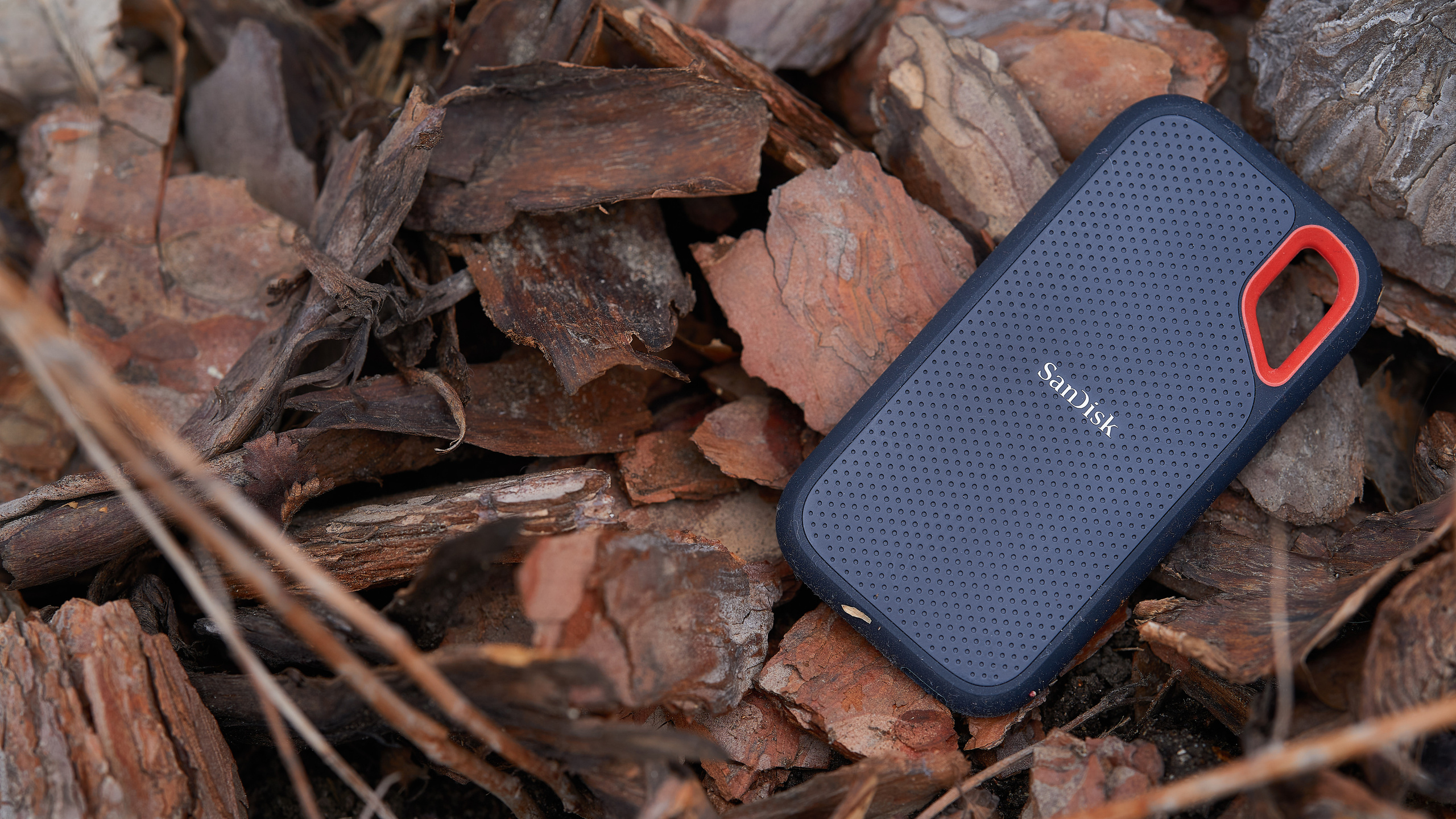 SanDisk. Сергей Горшенин — профессиональный фотограф