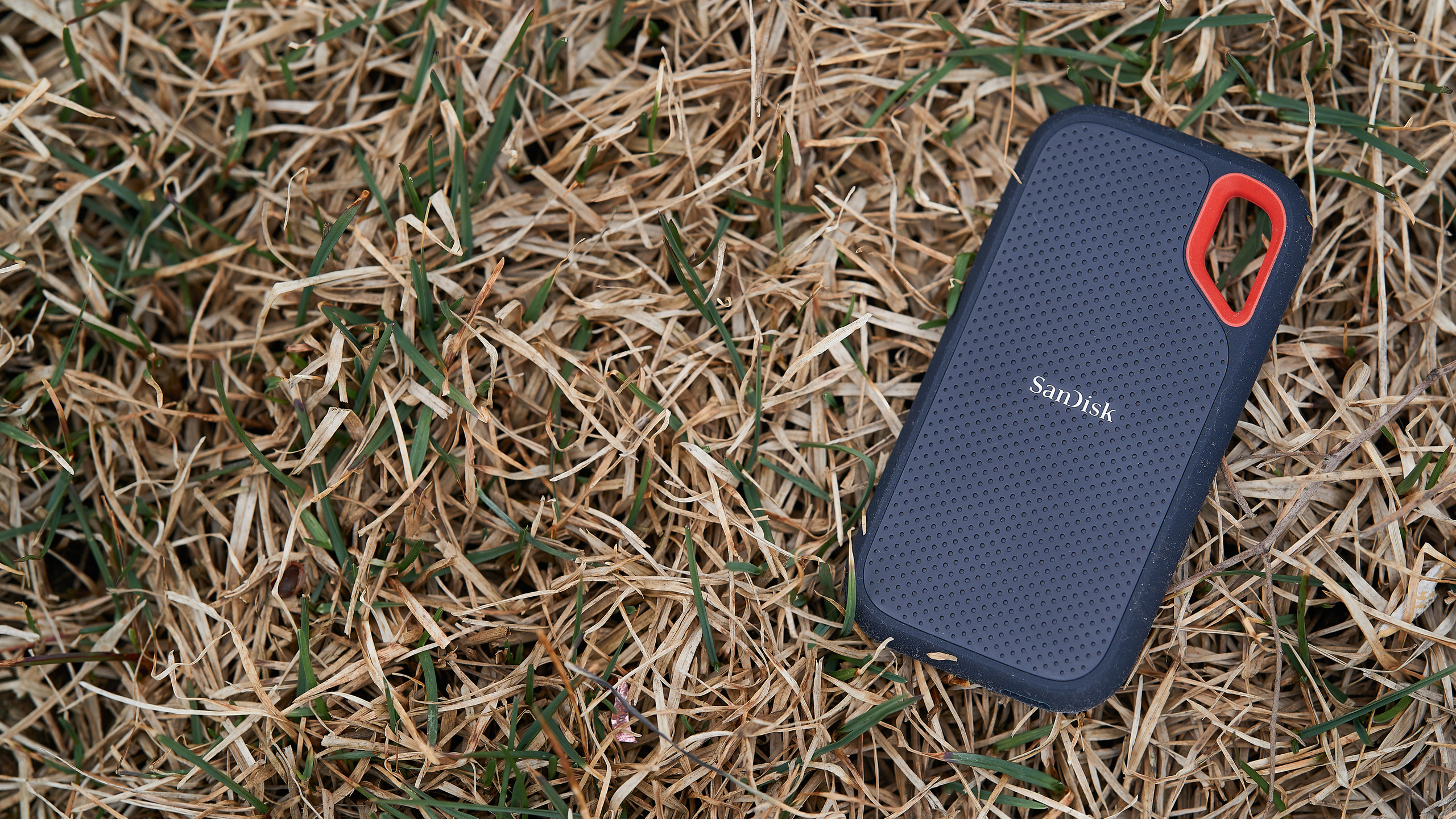 SanDisk. Сергей Горшенин — профессиональный фотограф