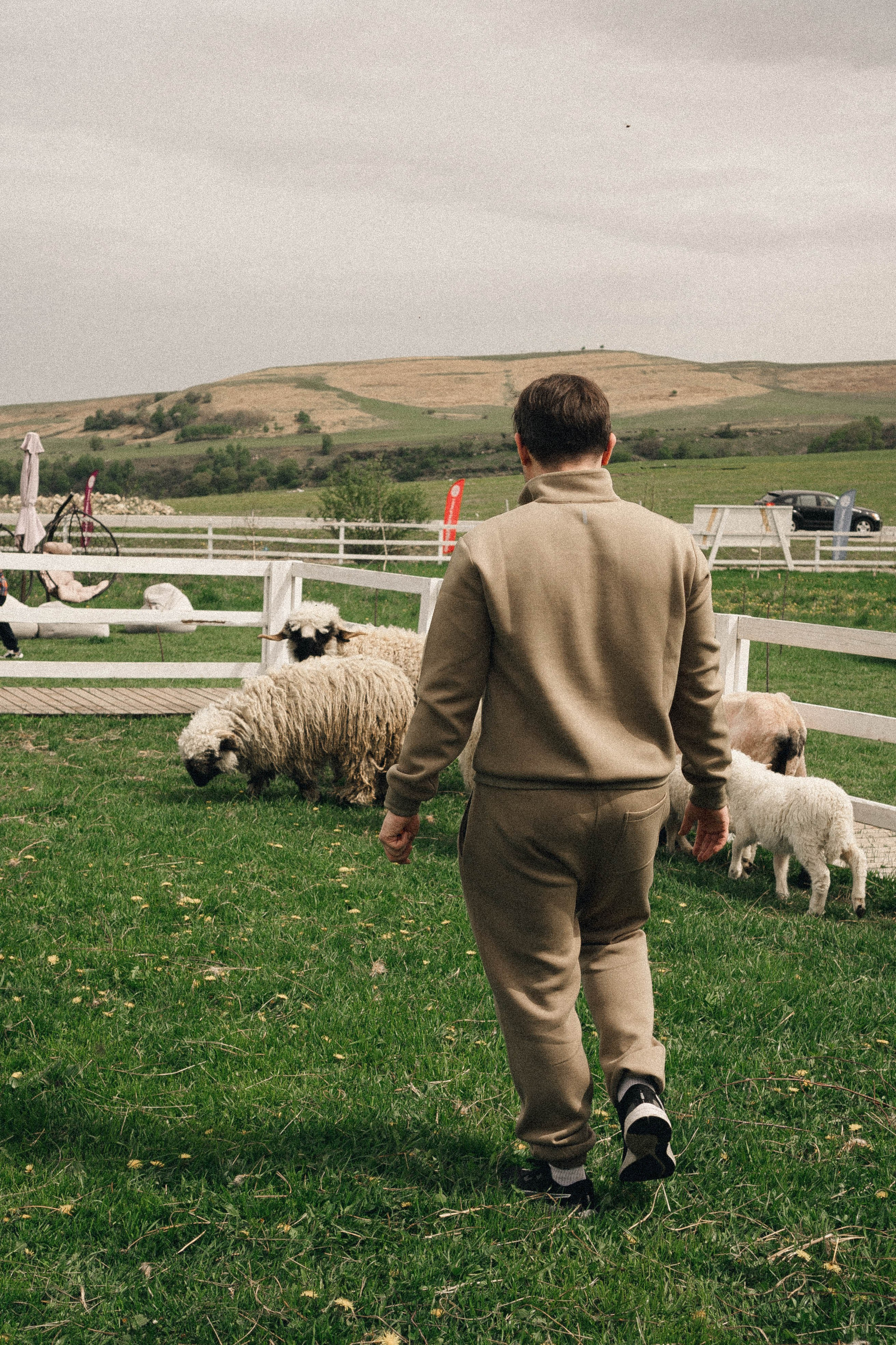 Ферма Альпак. Профессиональный фотограф, Санкт-Петербург — Виктория Богомолова