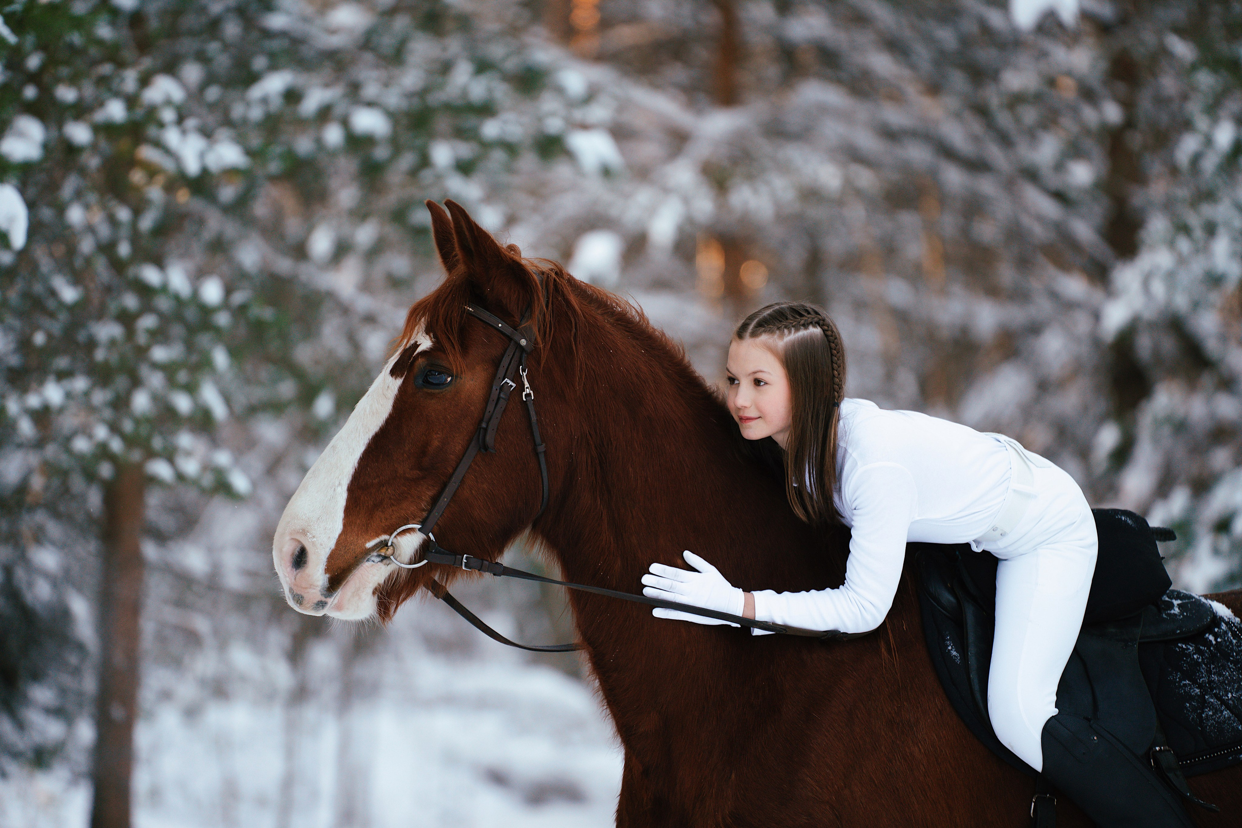 Конные. Фотограф Сибирика (Ирина Кузнецова), Санкт-Петербург и ЛО — портреты, свадьбы и семейные съемки. Творческий подход и качественные фото