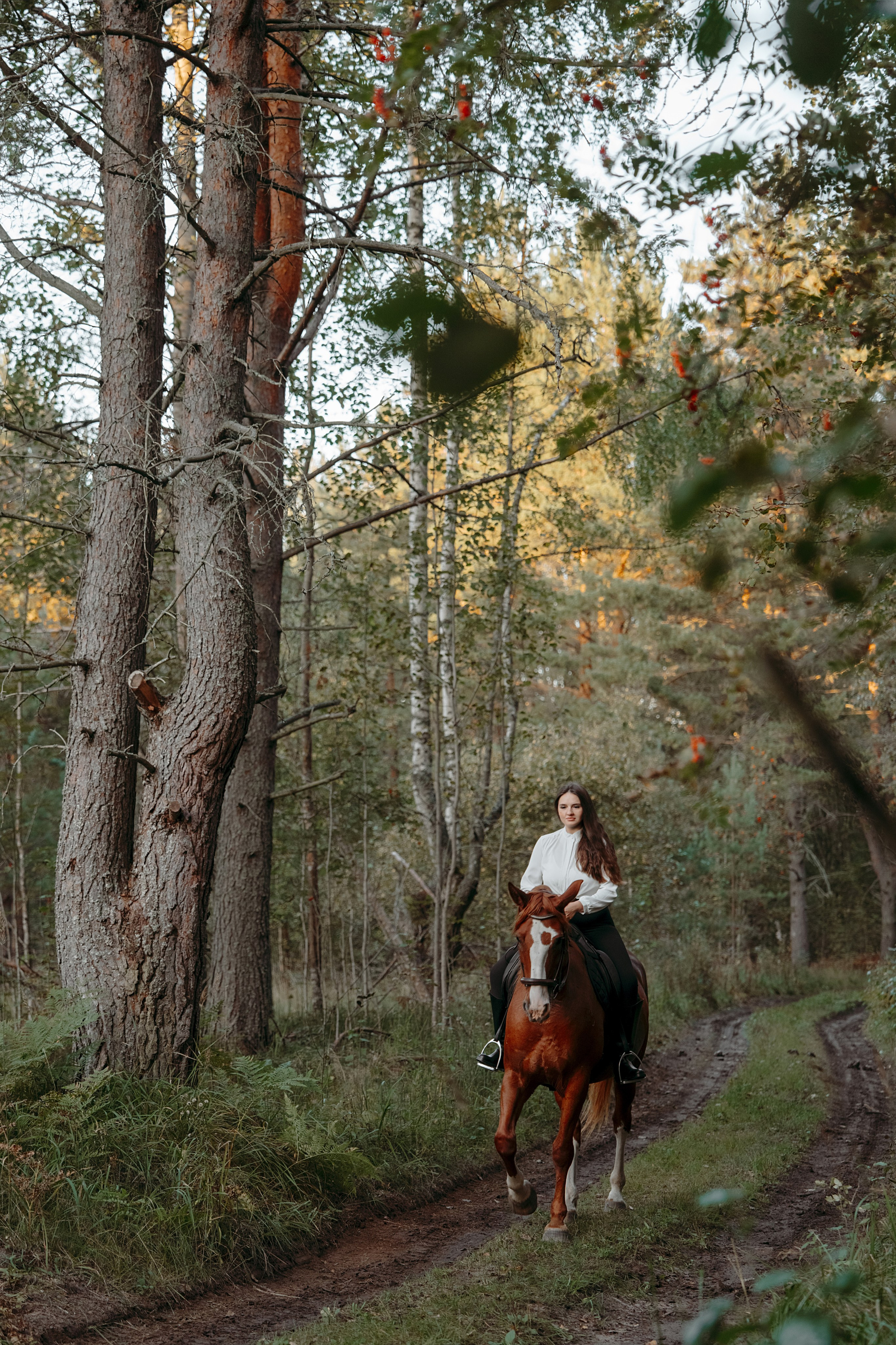 Конные. Главная