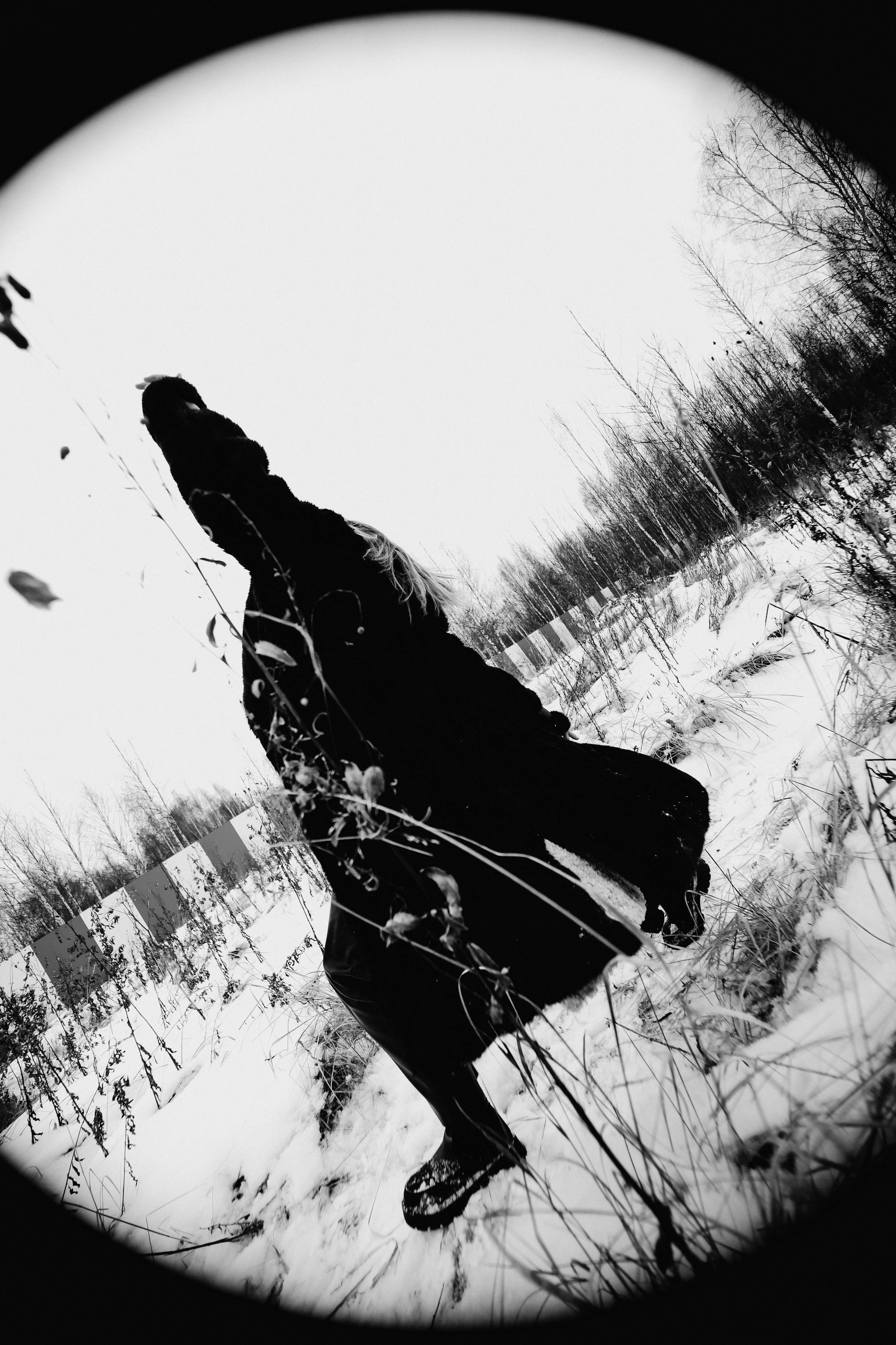 Зимняя история. Sun Betty — кинофотограф Элизабет