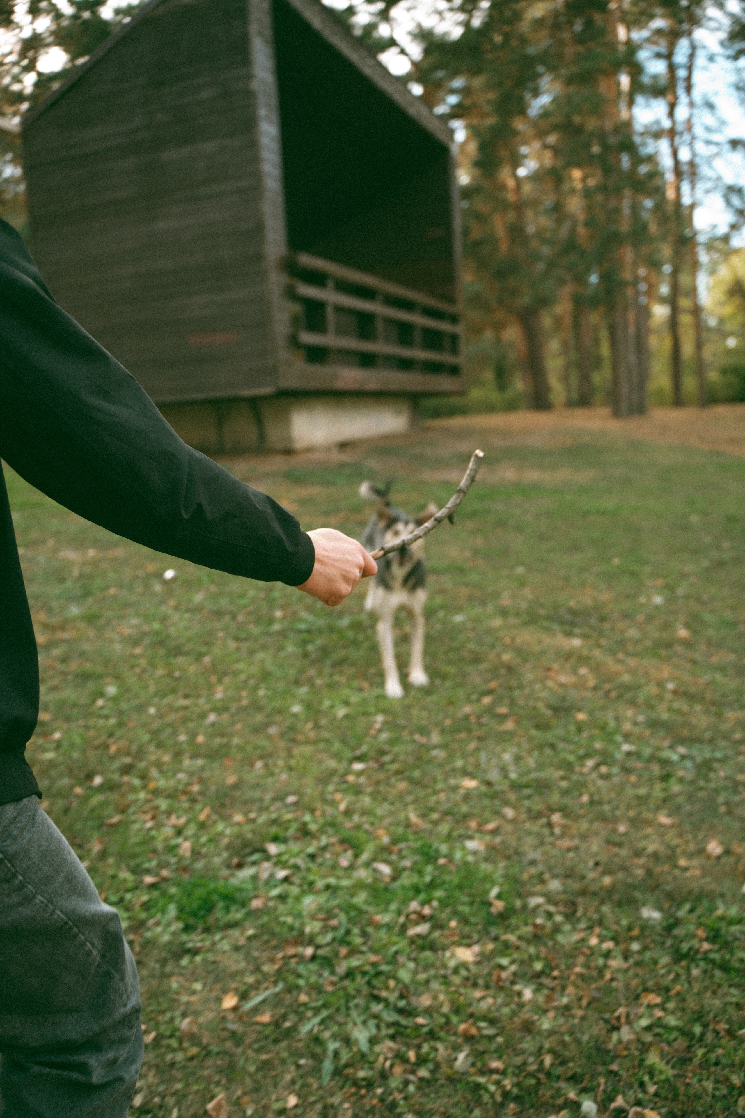 Прогулка в парке. Фотограф Мария Зайчик