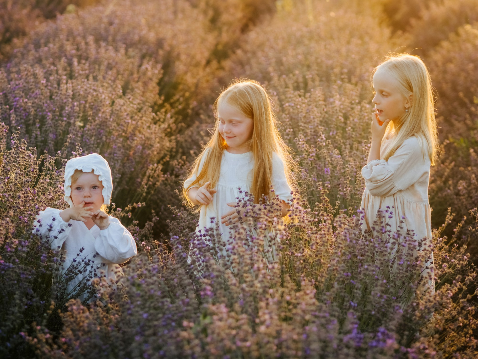 Лаванда. Семейный, детский, свадебный, фотограф в городе Анапа