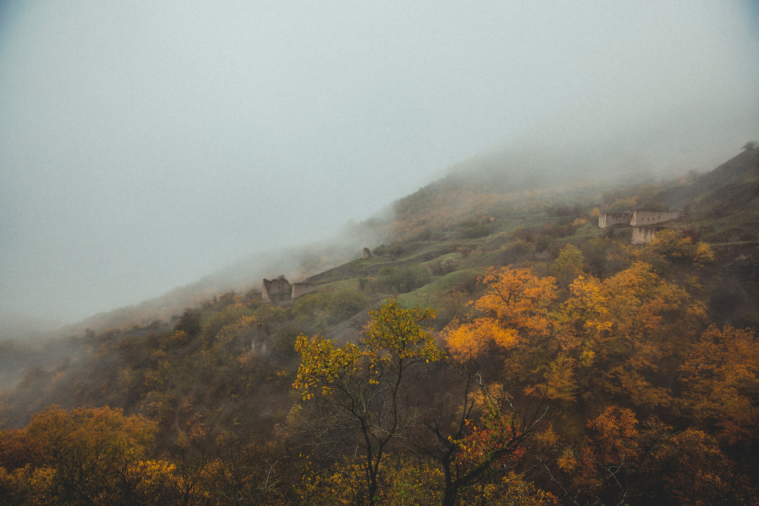 Каспийский страж. Фотограф Александра Степанова