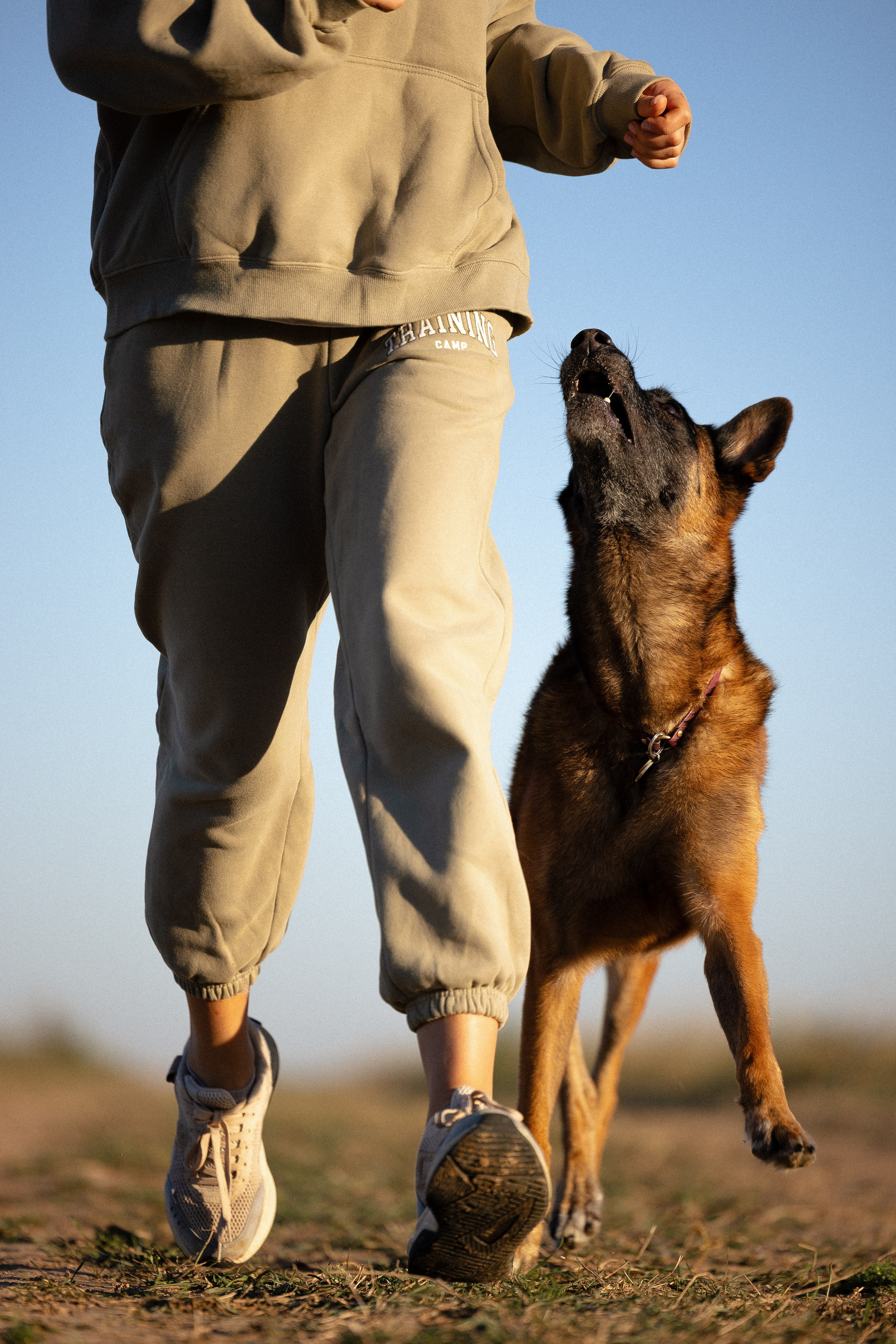 Женя, Афра и Молли. Фотограф и видеограф анималист Аганина Дарья