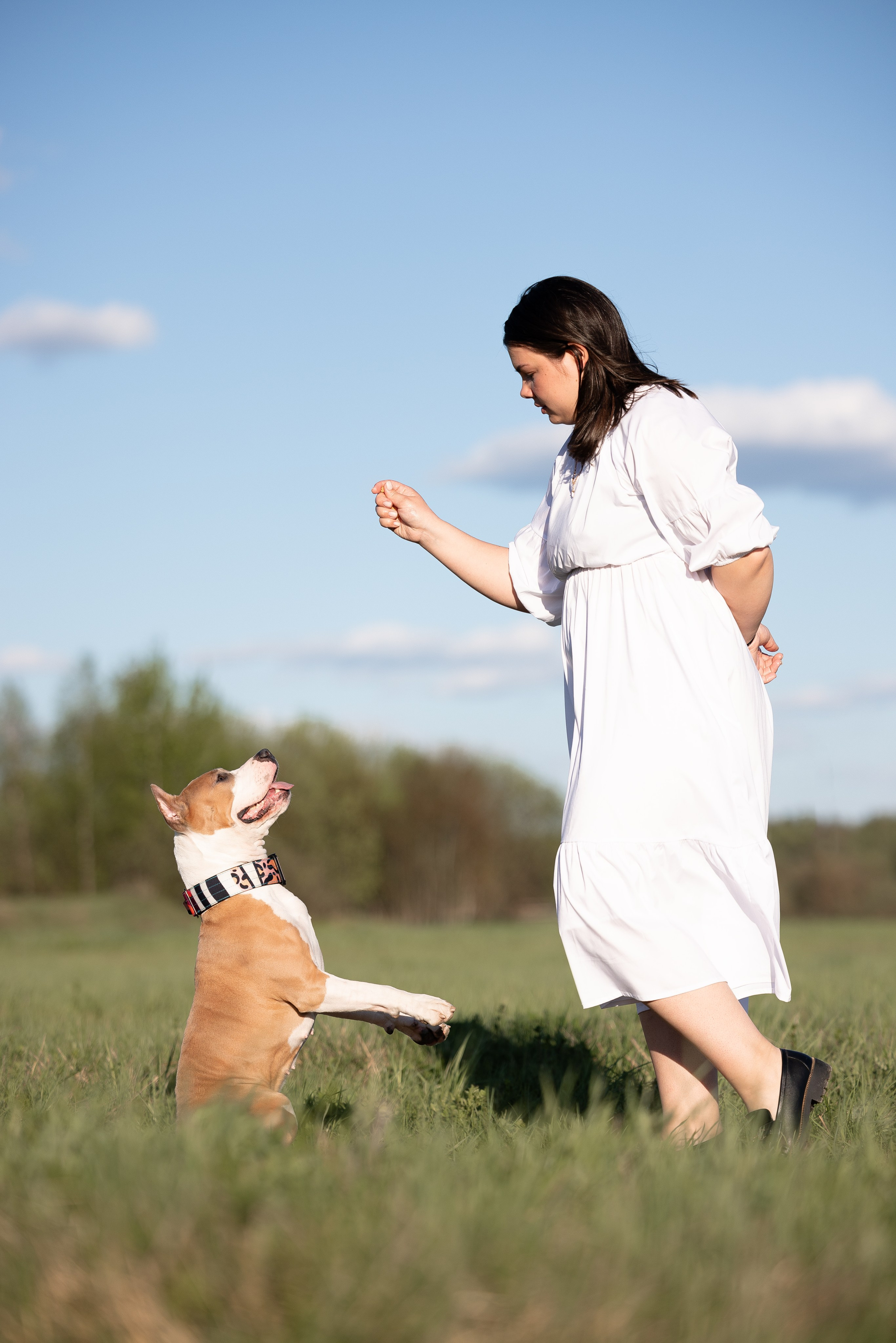 Шуня и ее семья. Фотограф и видеограф анималист Аганина Дарья